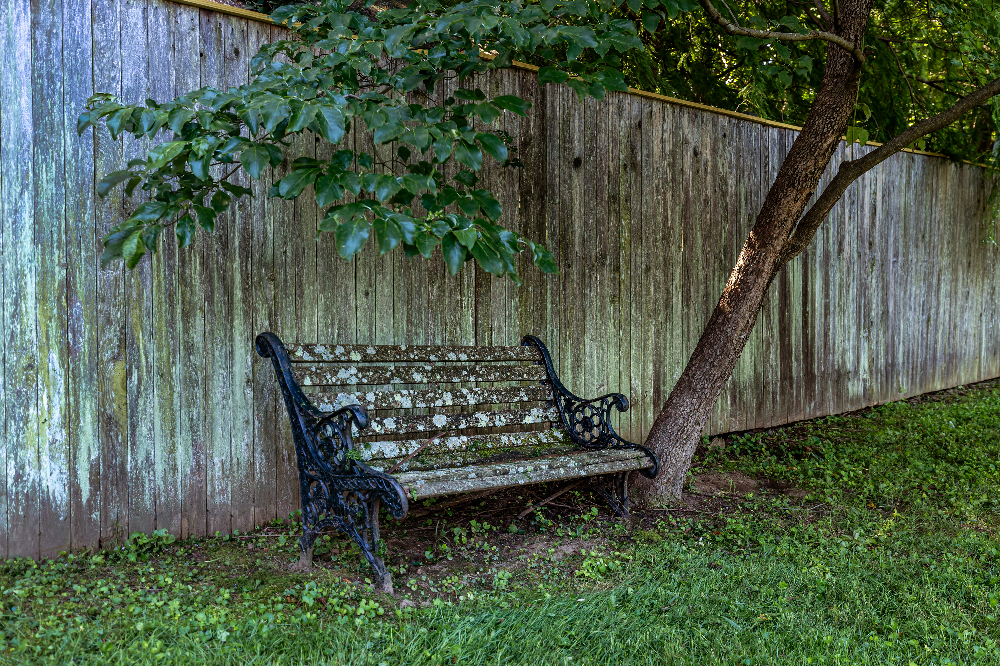 Lichen Laden Bench