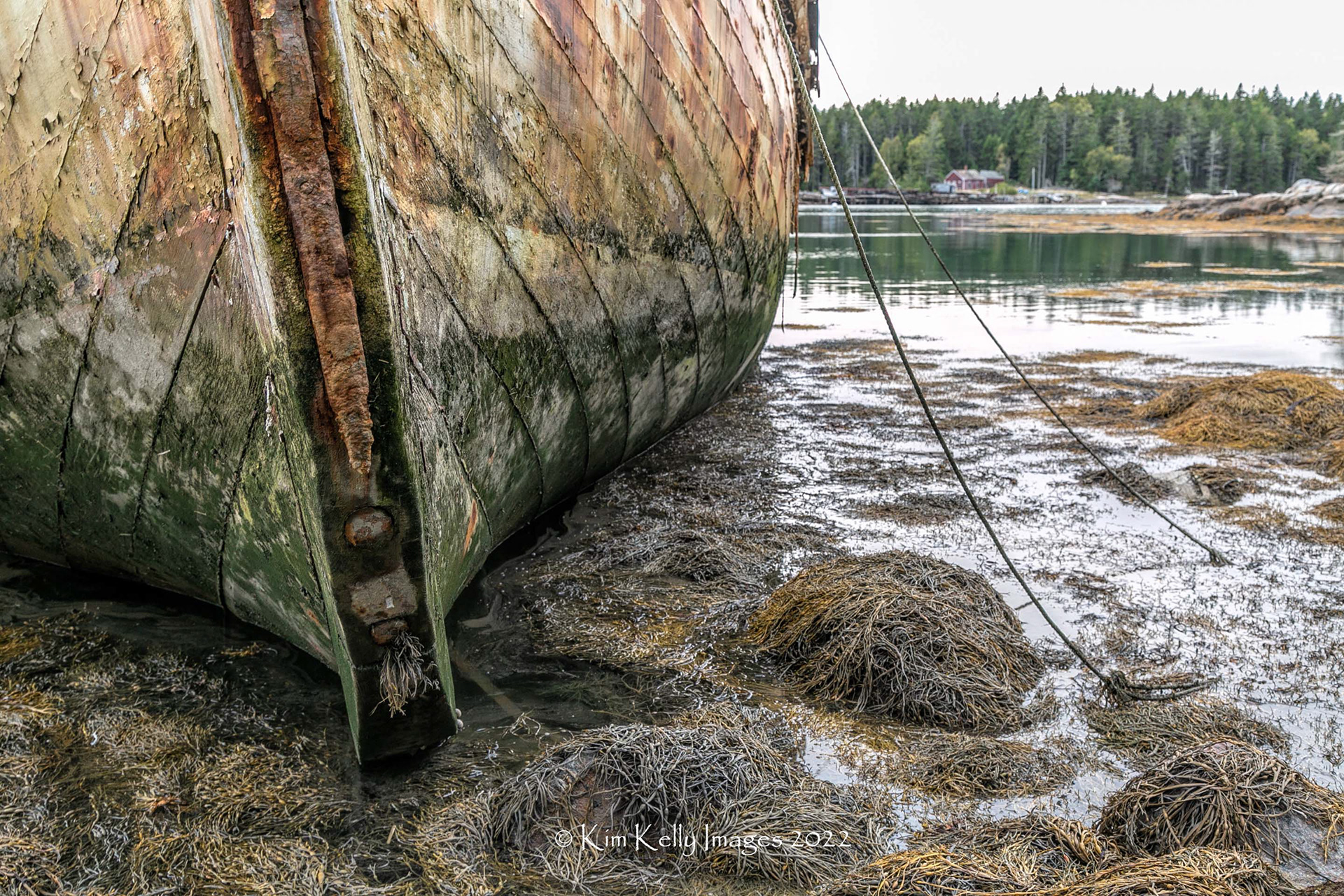 Final Resting Place of the Louis R