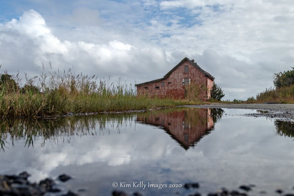 After a Deluge in Crocheron