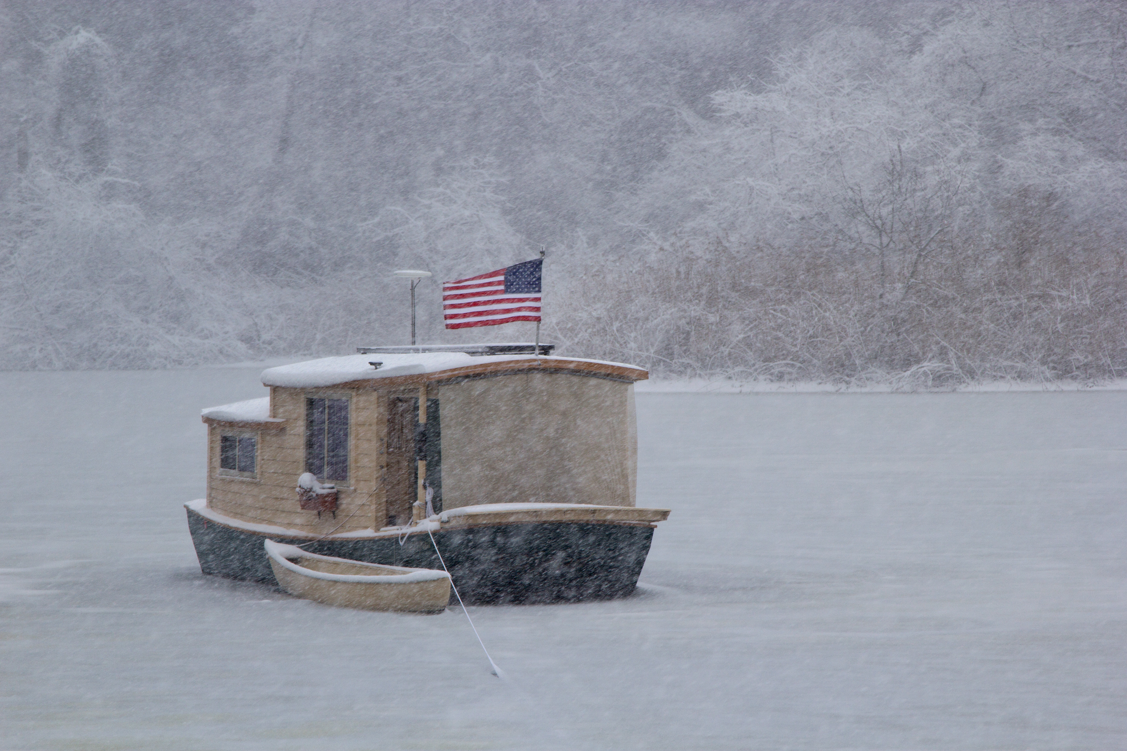Lilypad in a Snow Storm