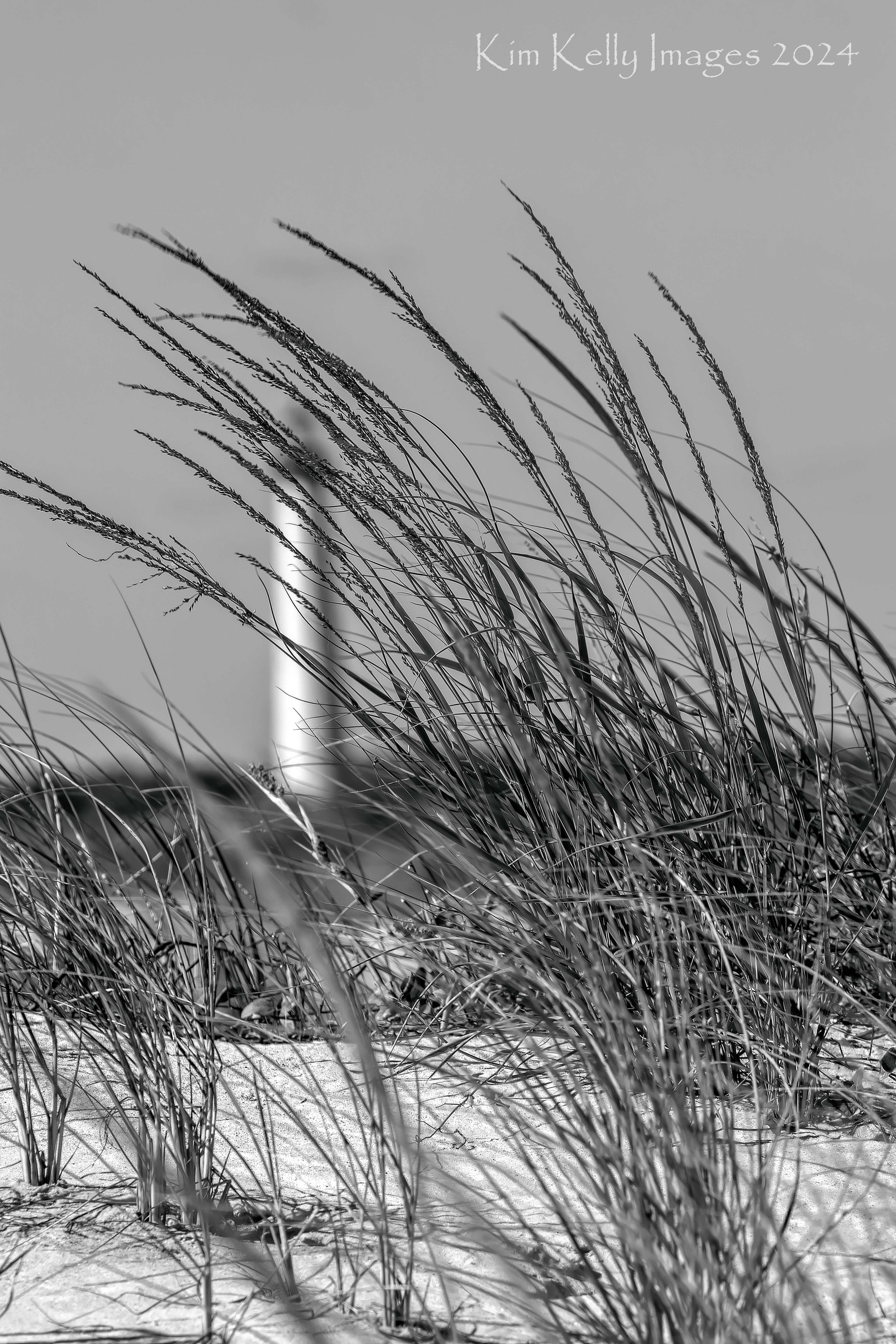 Cape May Lighthouse Through the Dunes