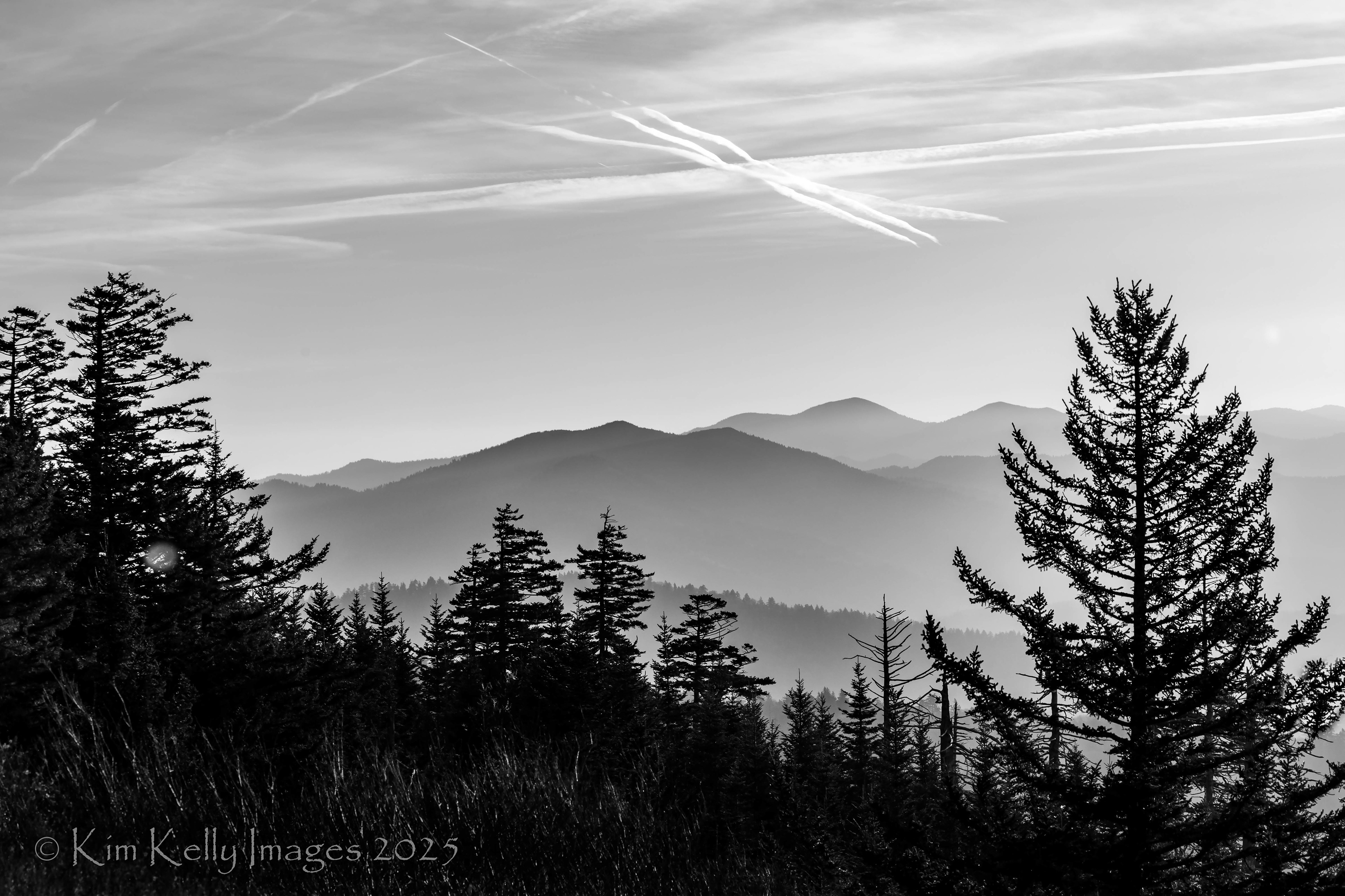 Morning in the Smokies