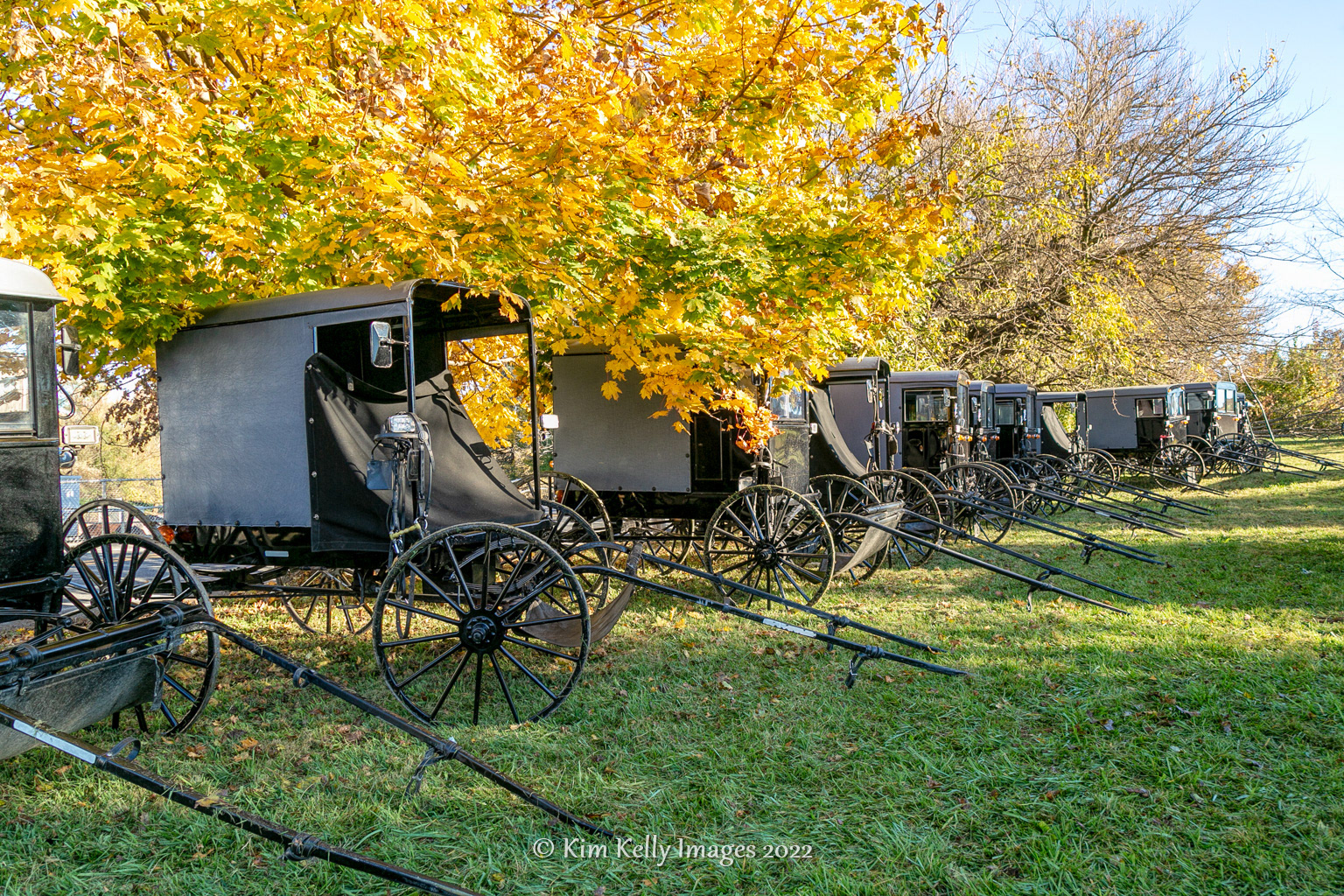 Amish Buggy Parking Lot