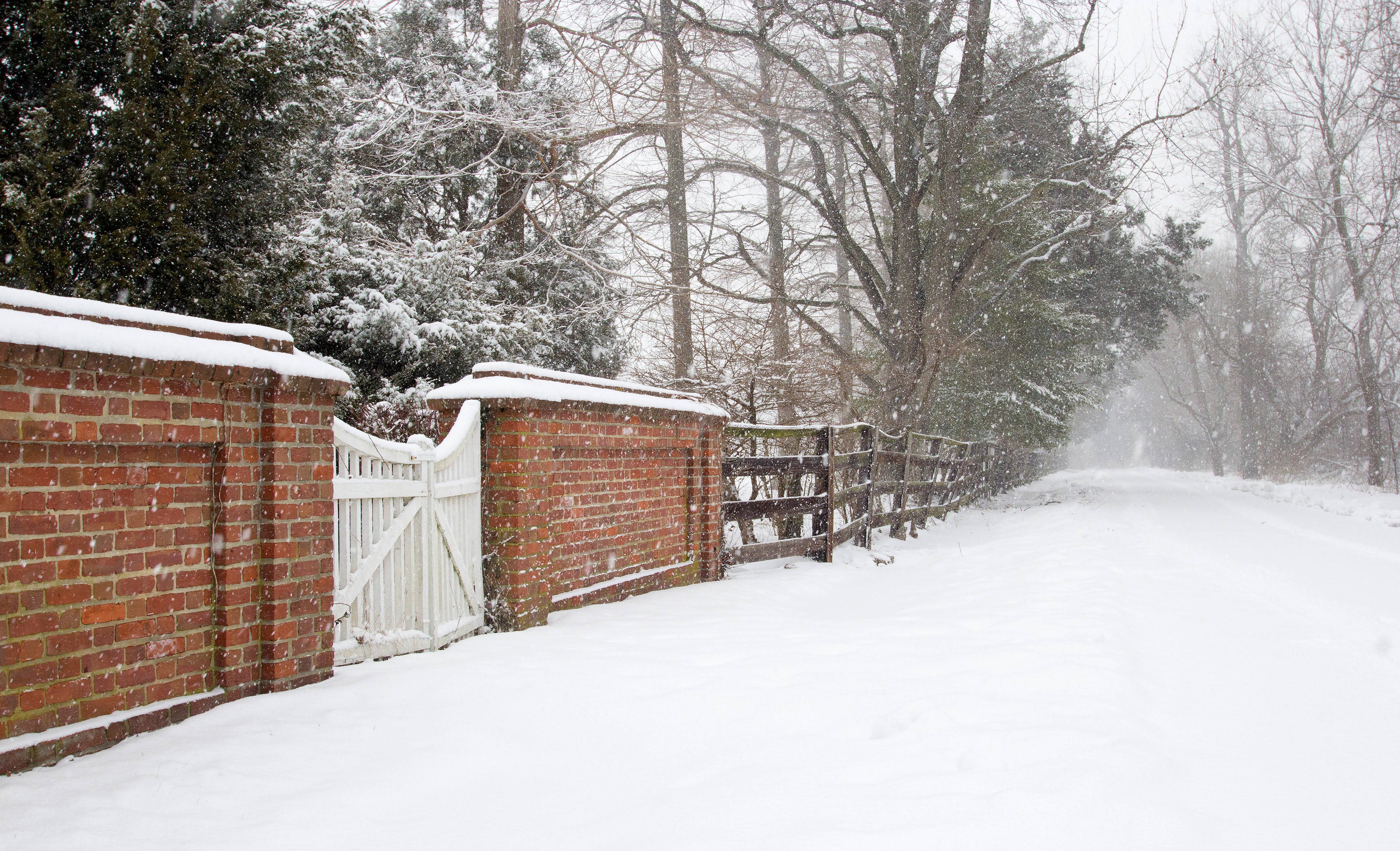 Brick Wall in Snow