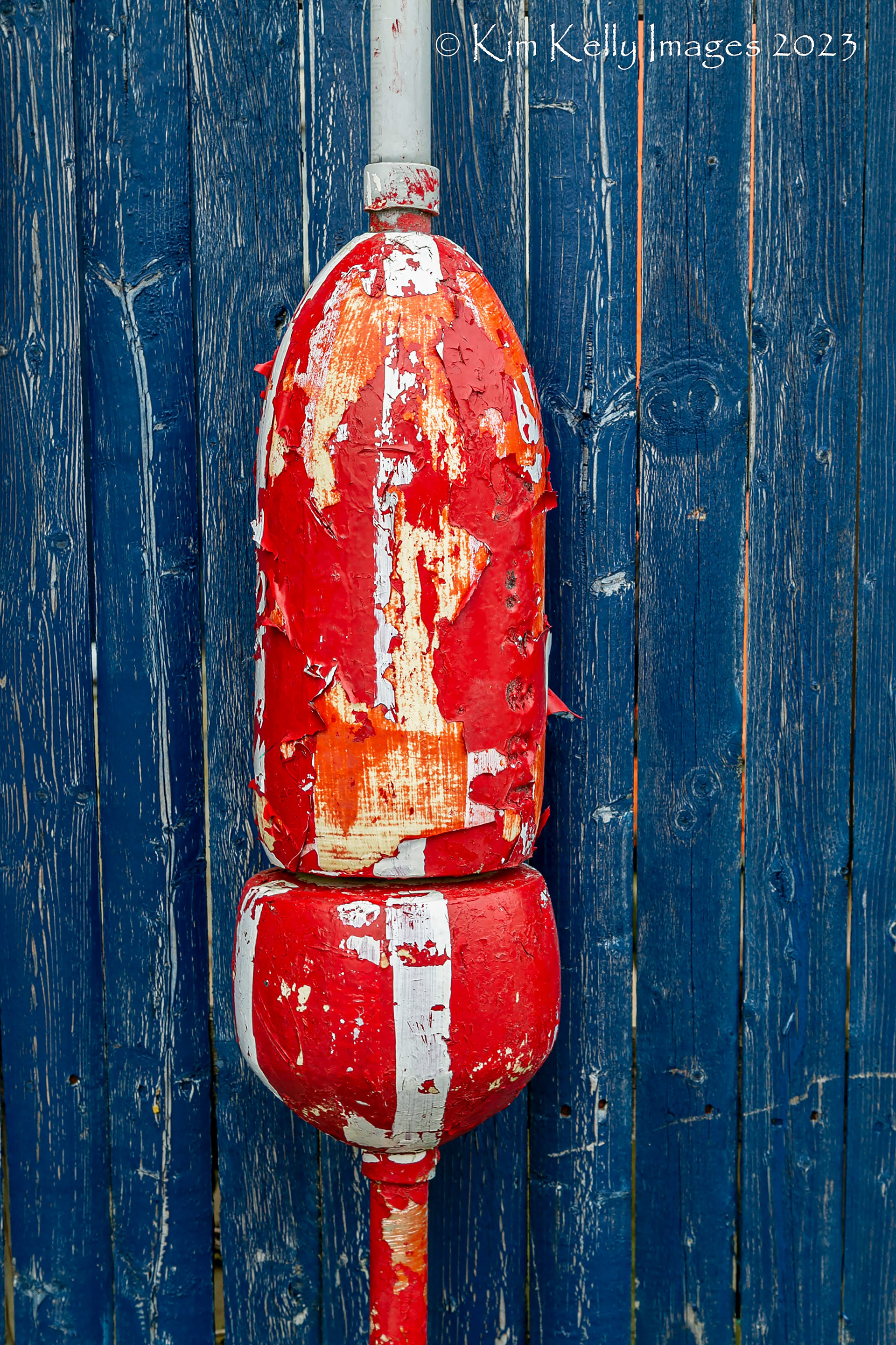 Red Buoy Blue Fence