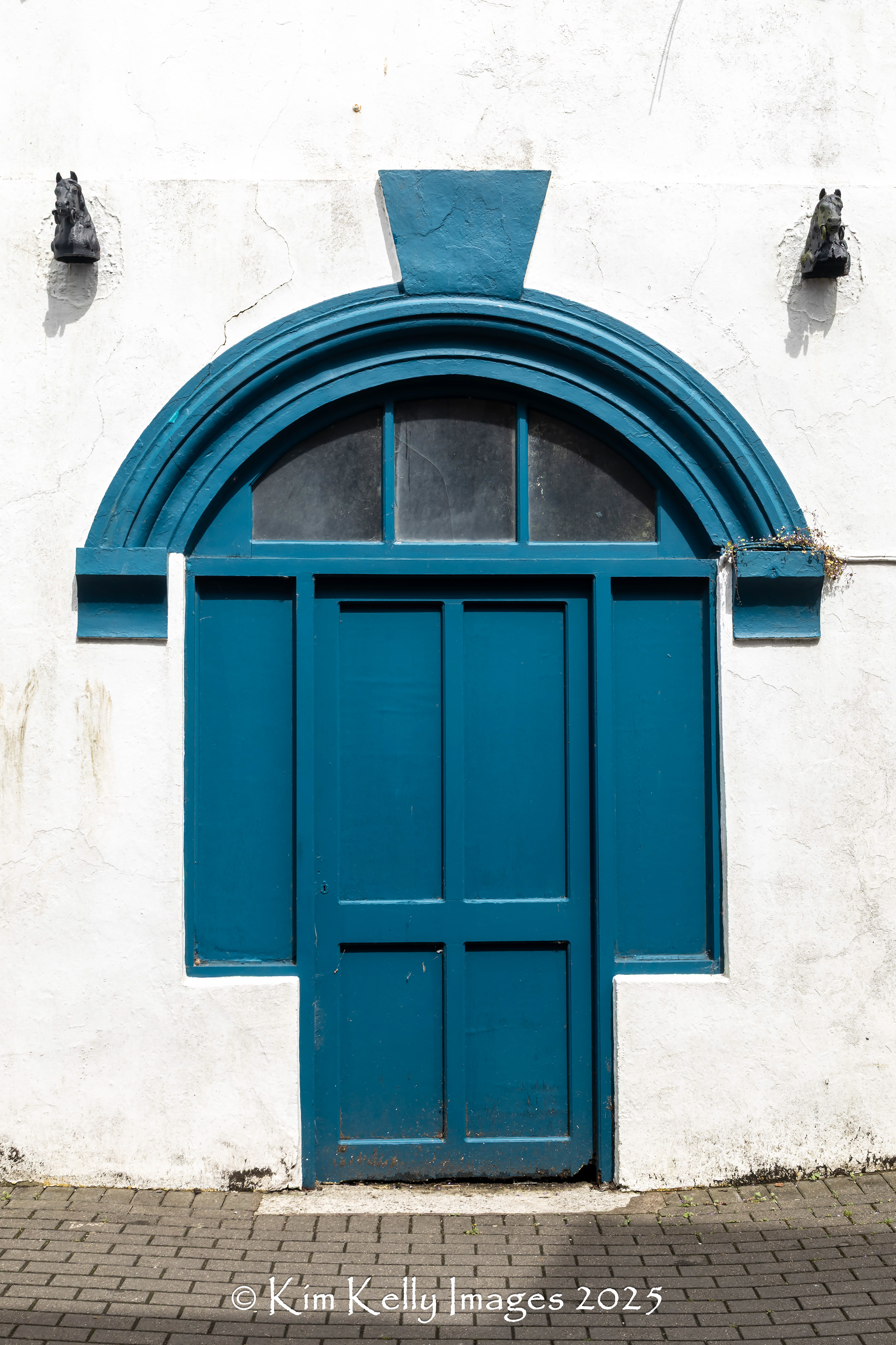 Irish Door #11
