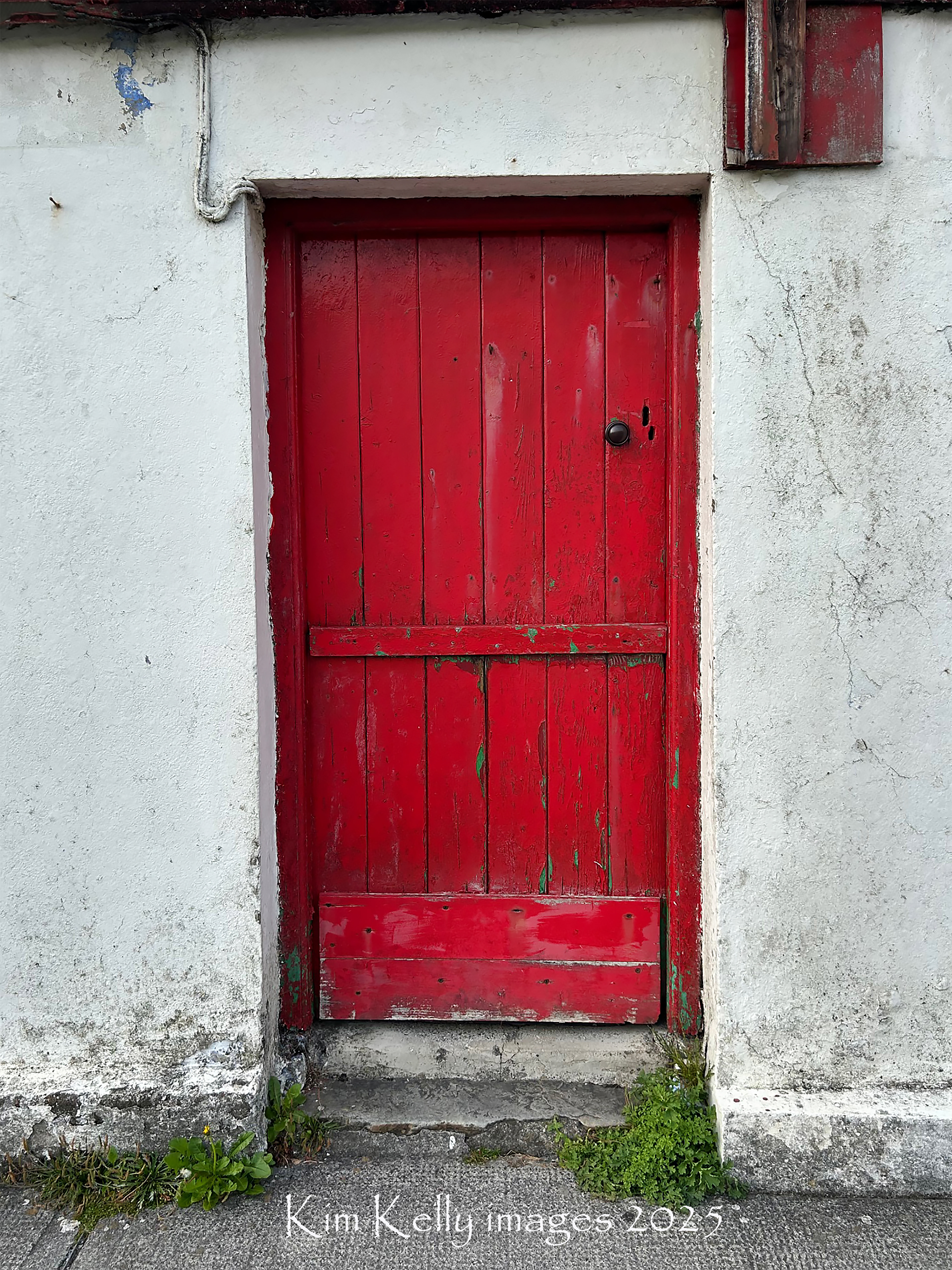 Irish Red Door #13