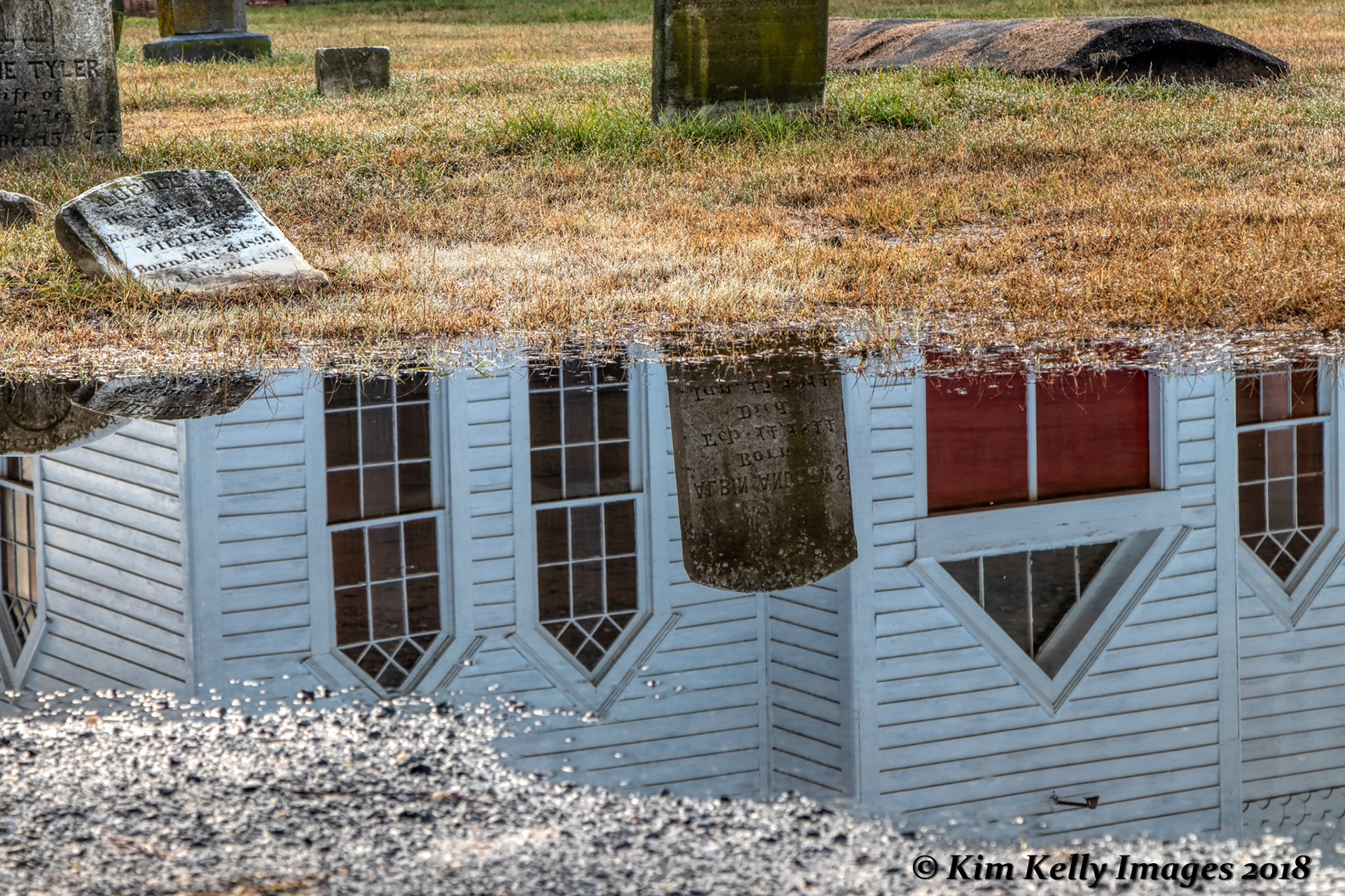 A Reflection of Wesley Chapel in Crapo