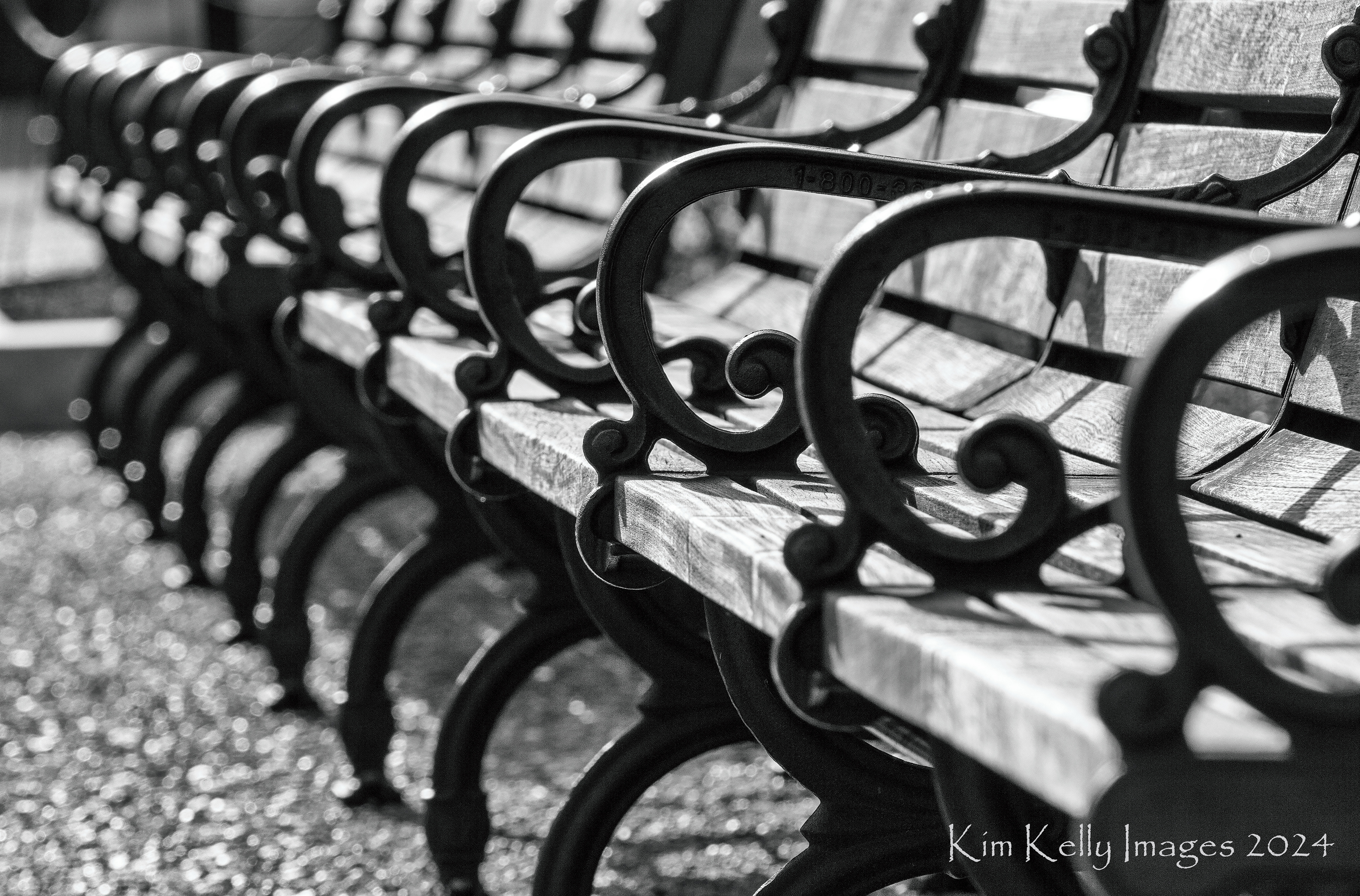 Empty Benches