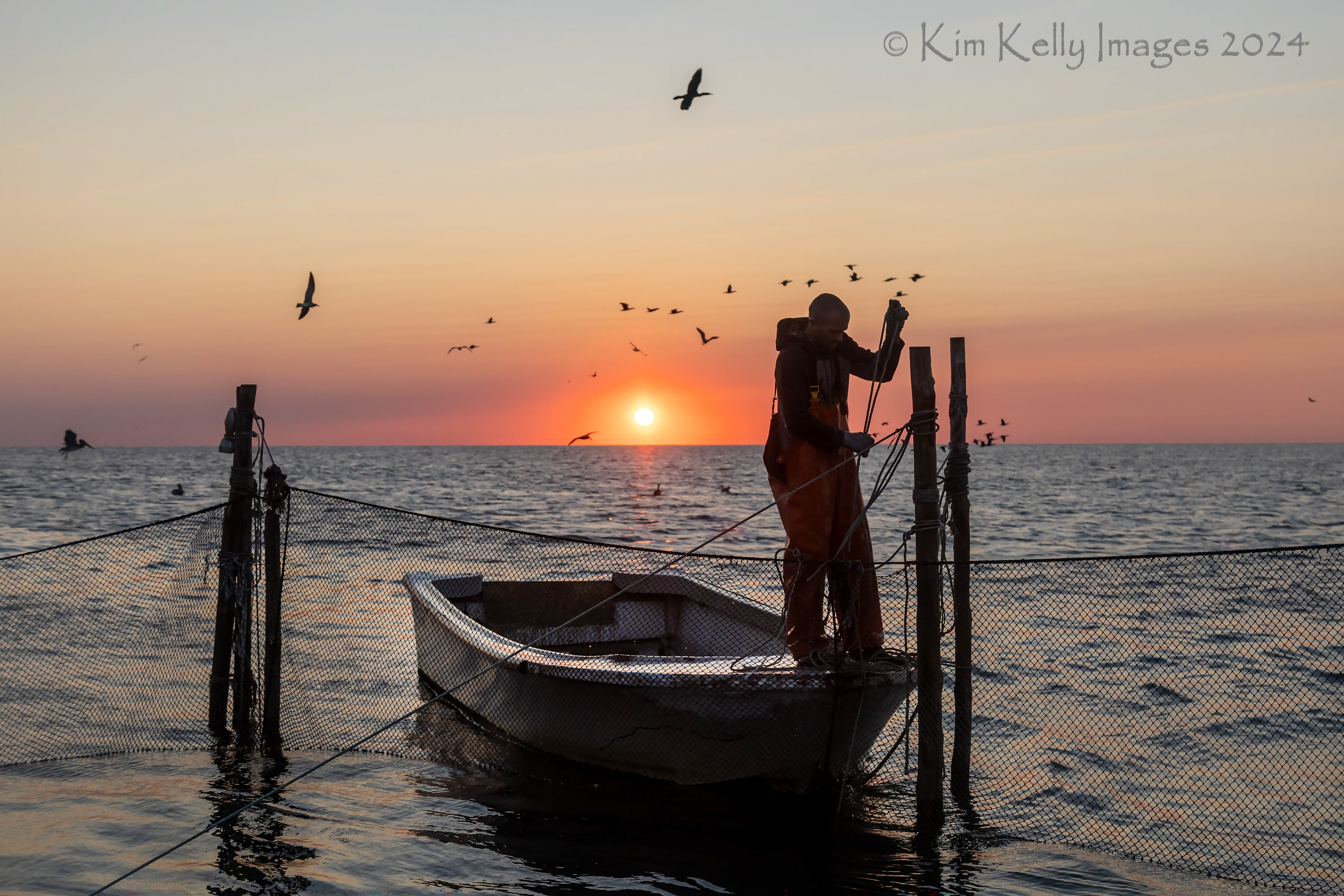 Working the Pound Net by Dawn's Early Light
