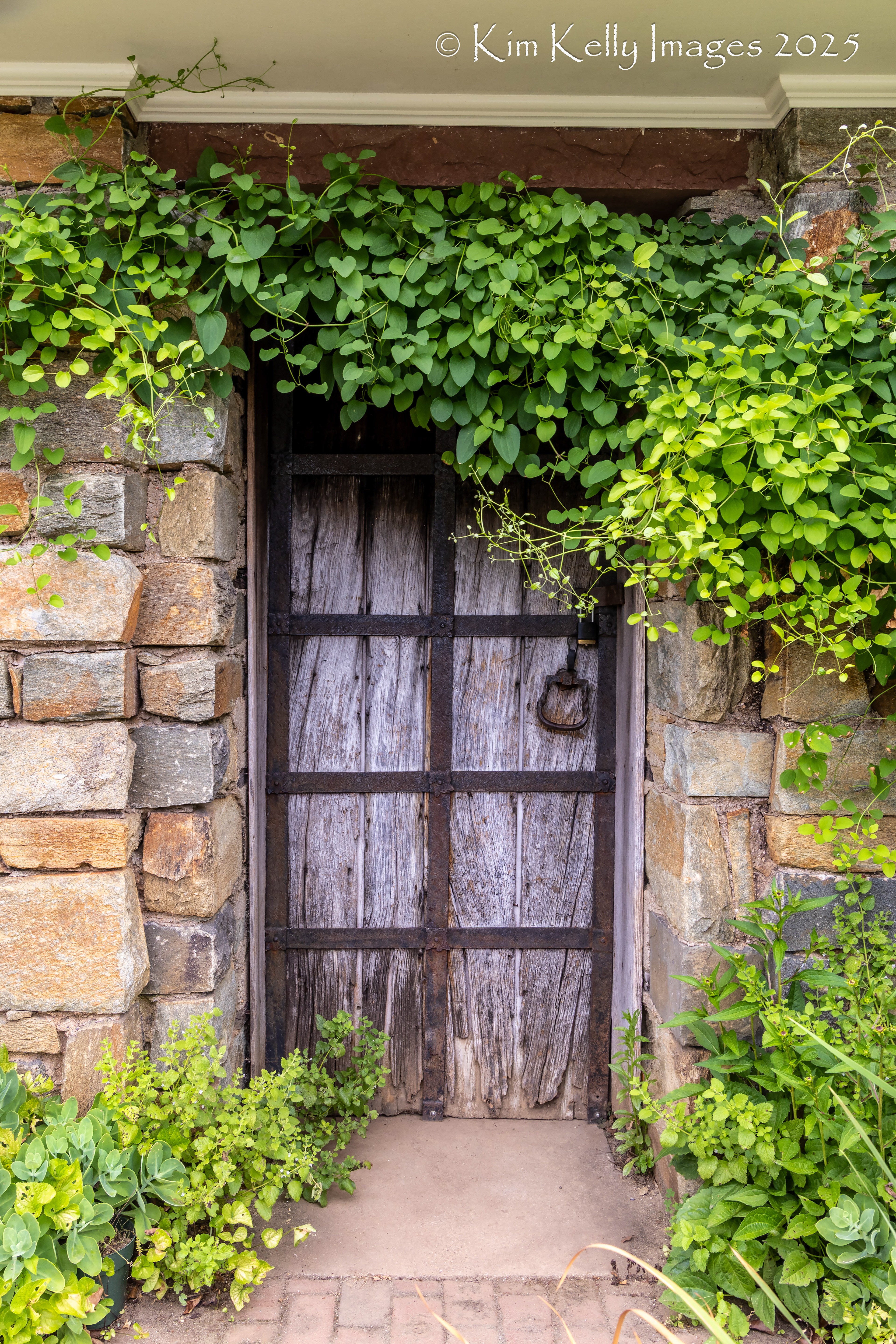 Door Overgrown