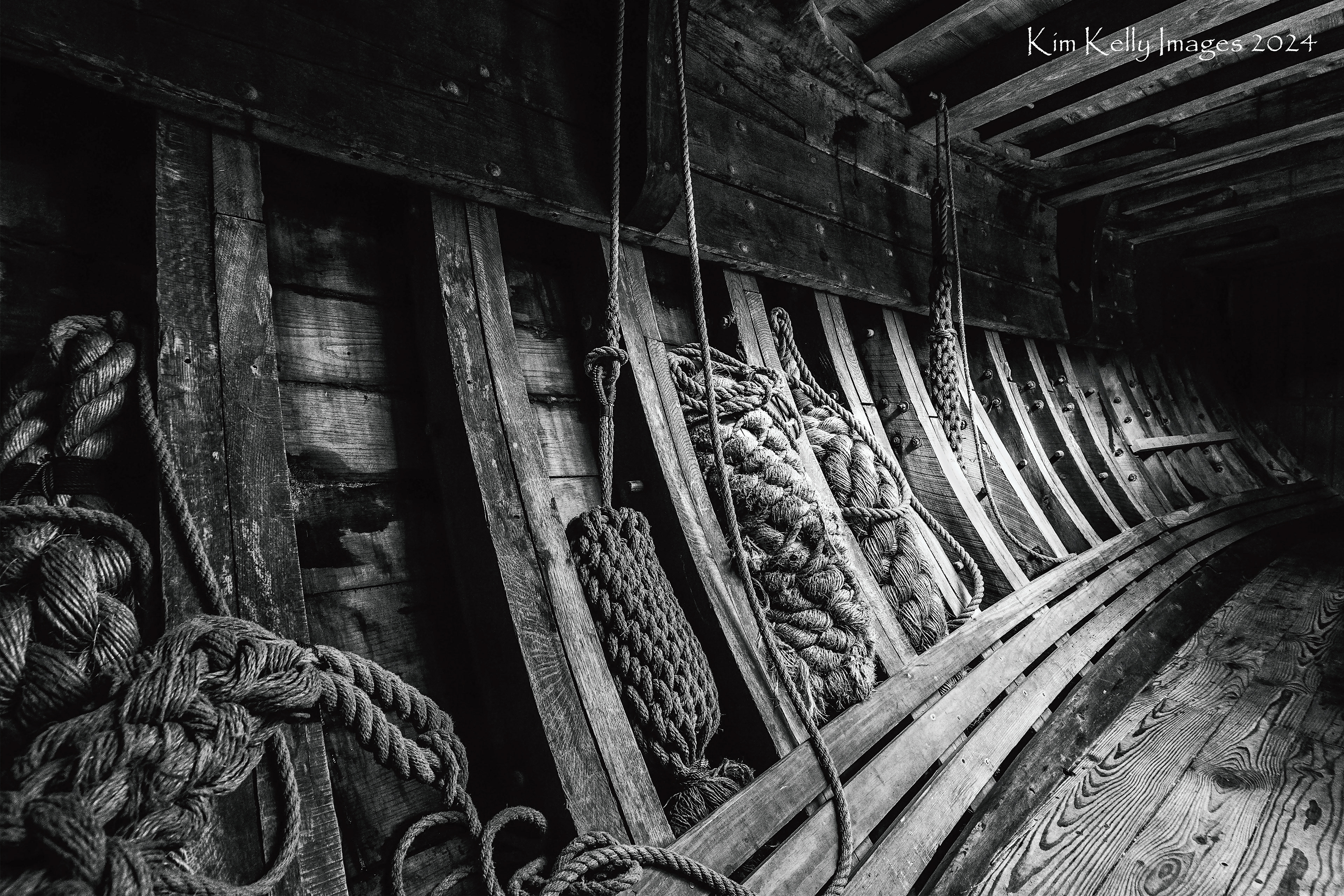 In the Hull of the Dove