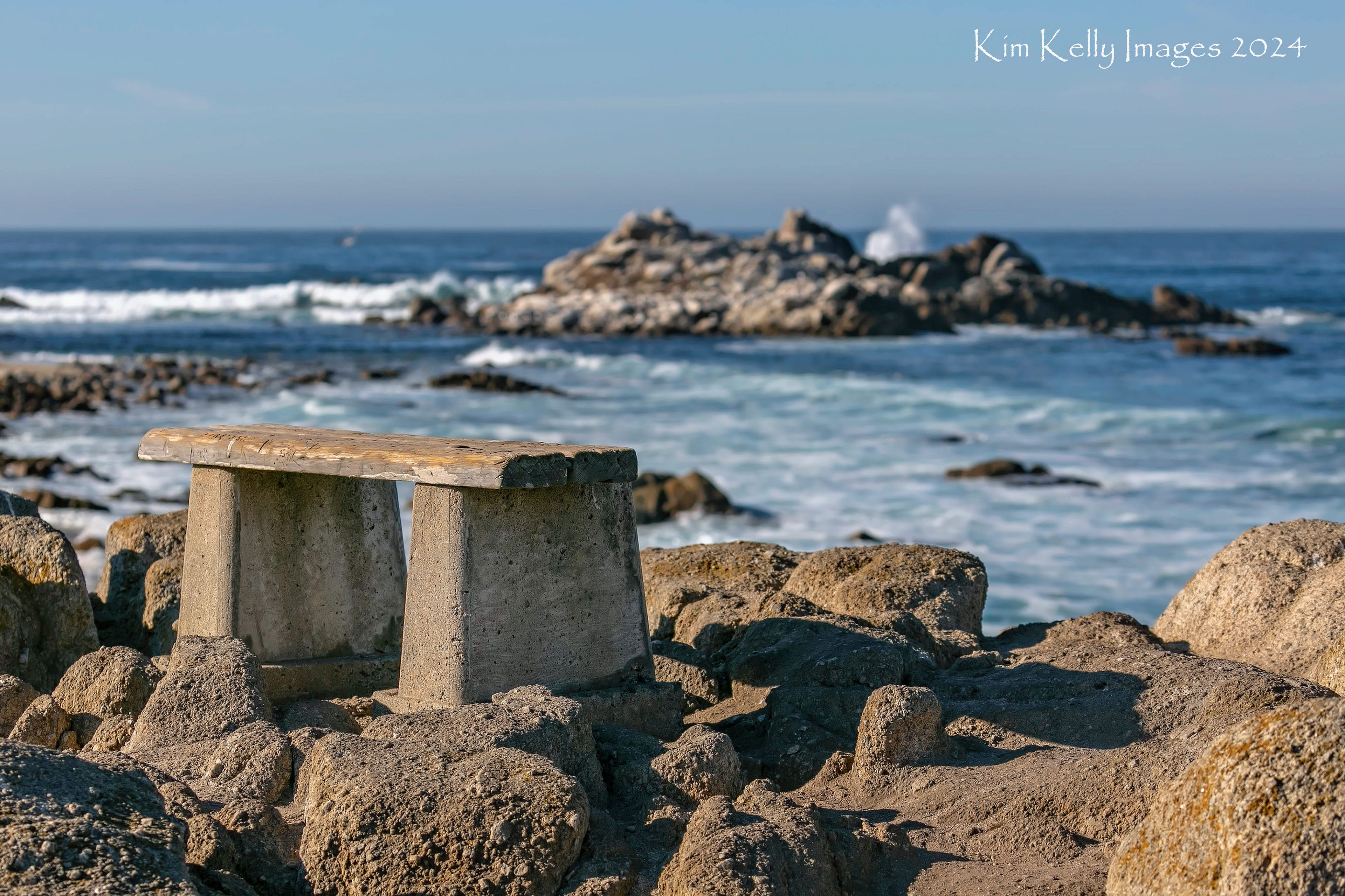Bench with an Ocean View at Asilomar Beach