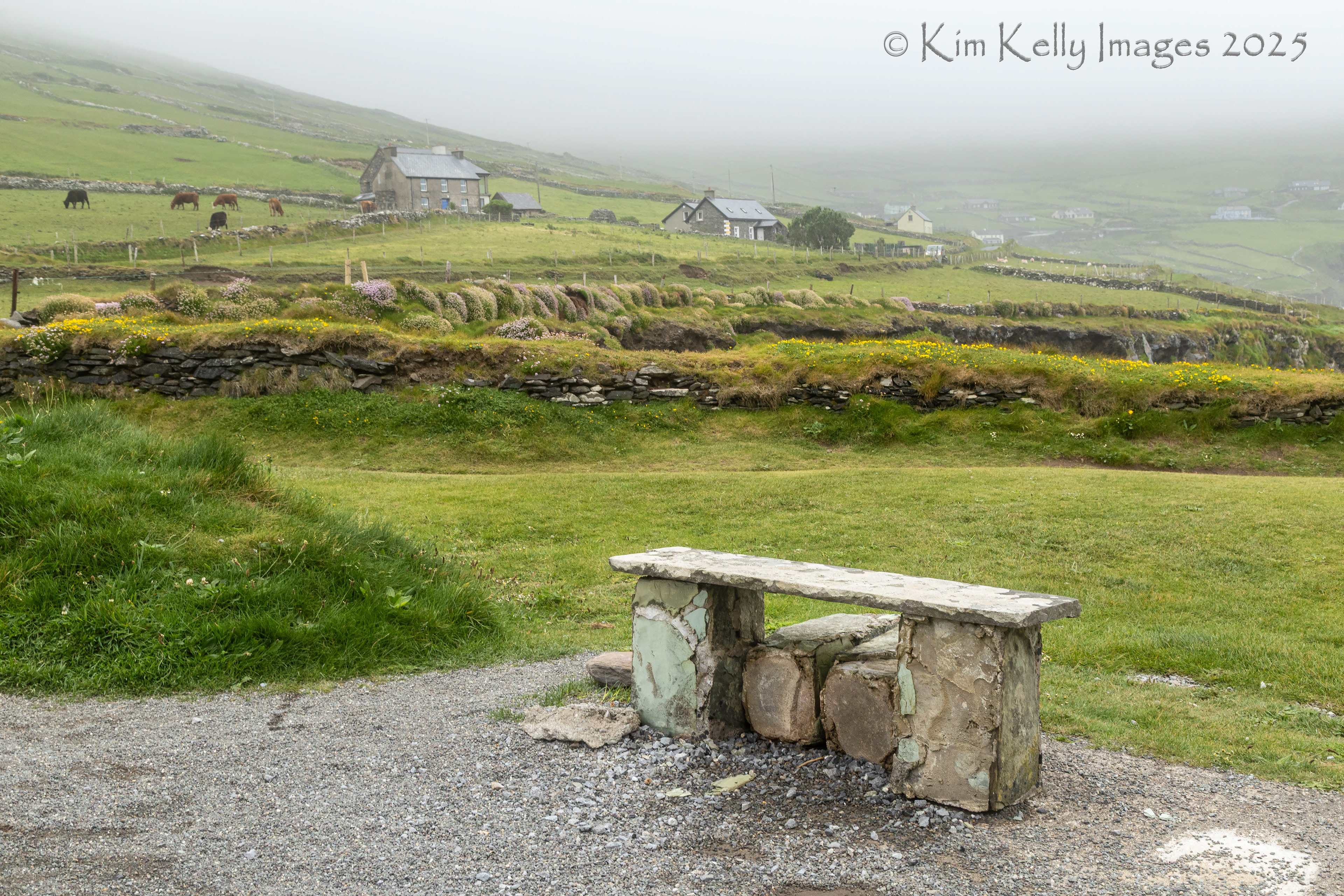 Stone Bench in the Irish Countryside
