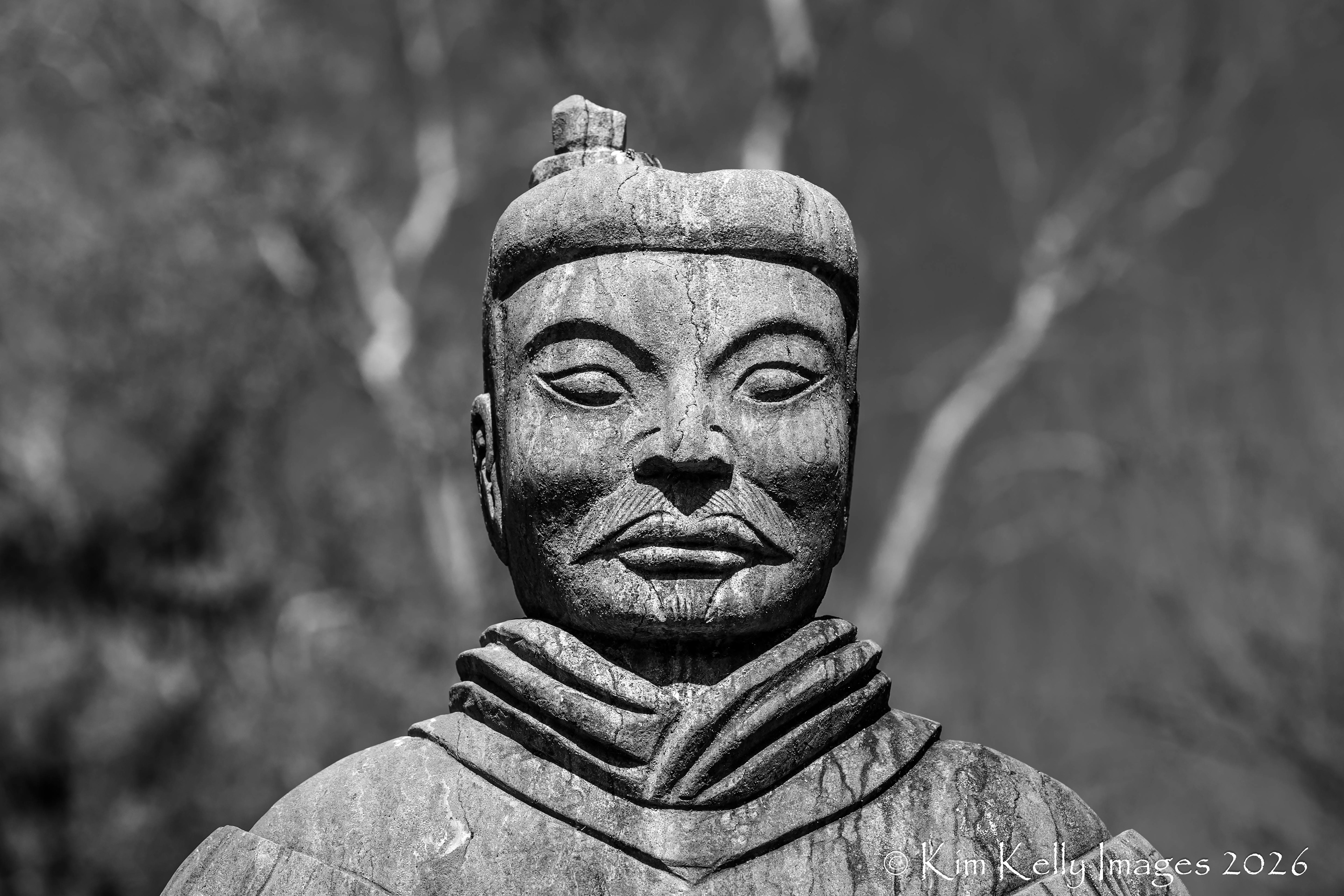 Chinese Soldier #2