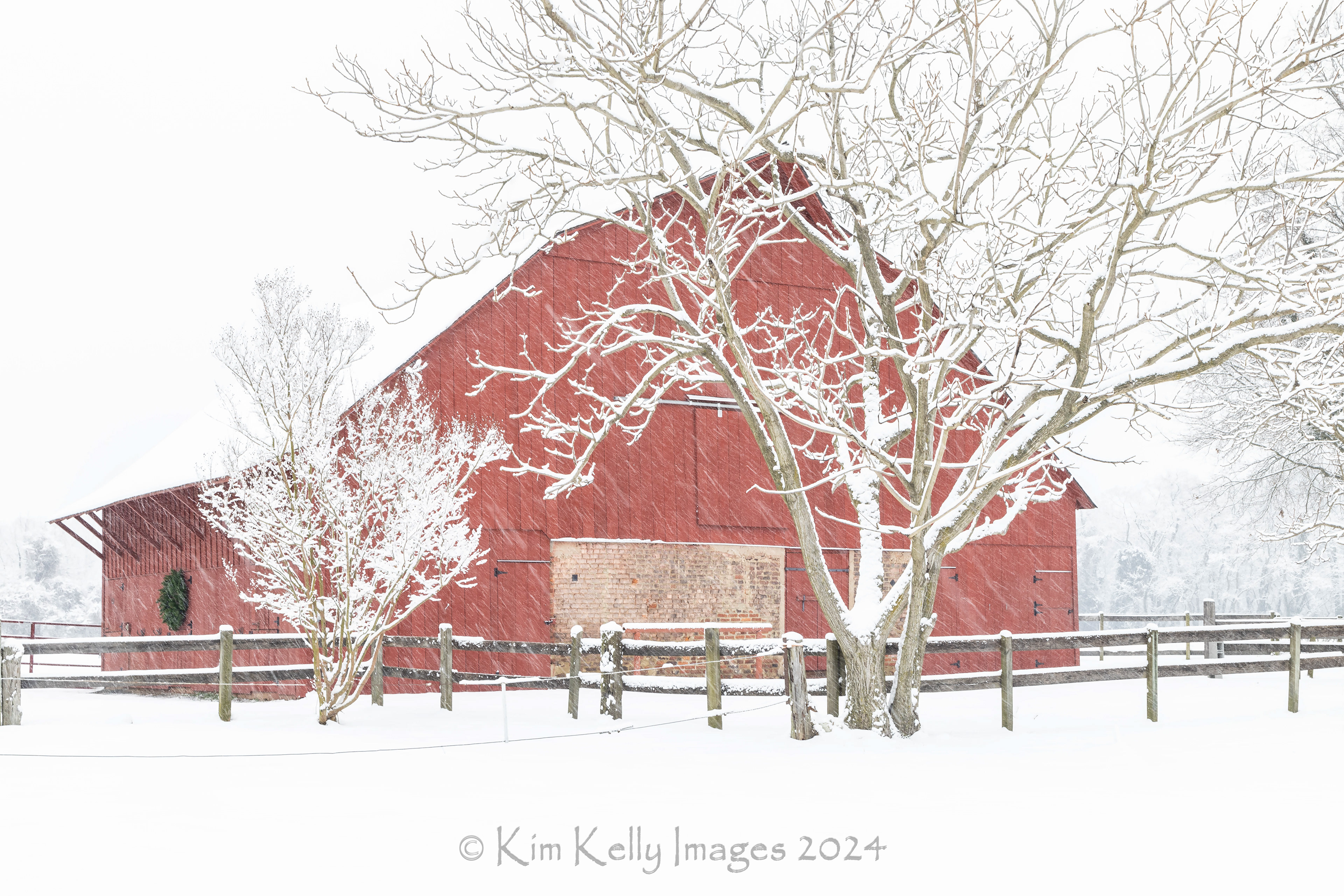 Whitehall Barn Cloaked in Snow