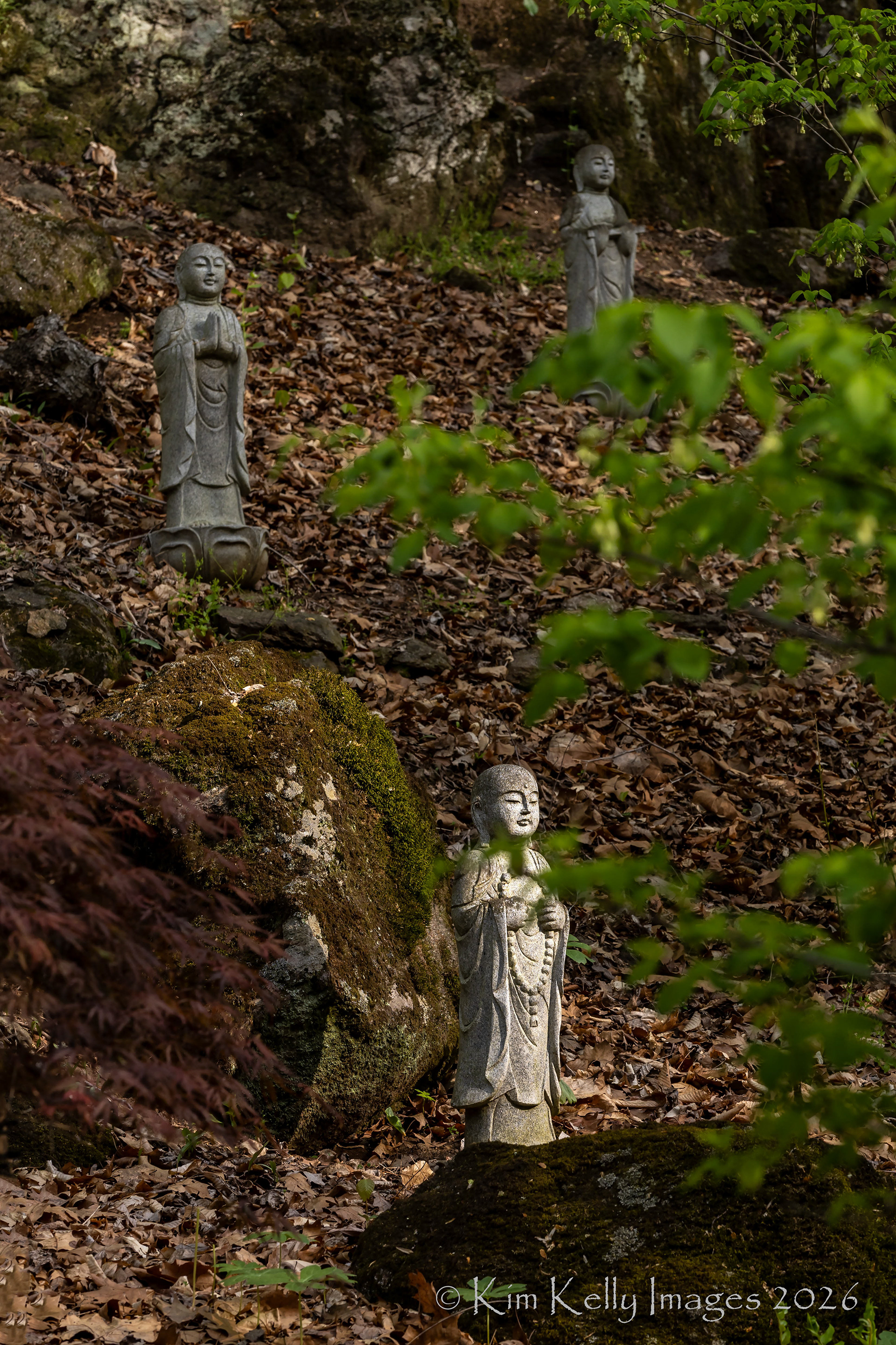Beacon of Light Touches a Buddhist Statue