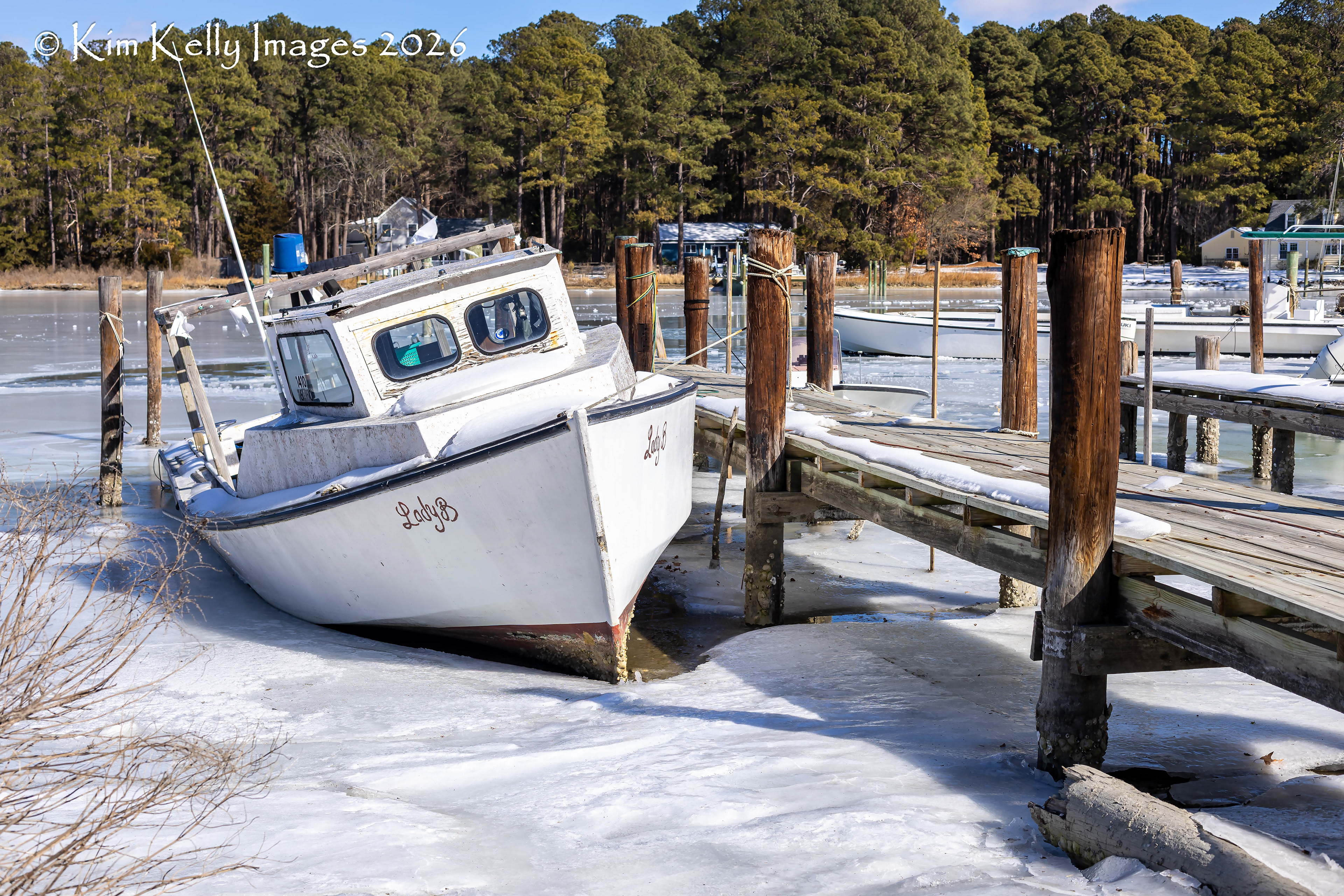 Lady B Locked in Ice