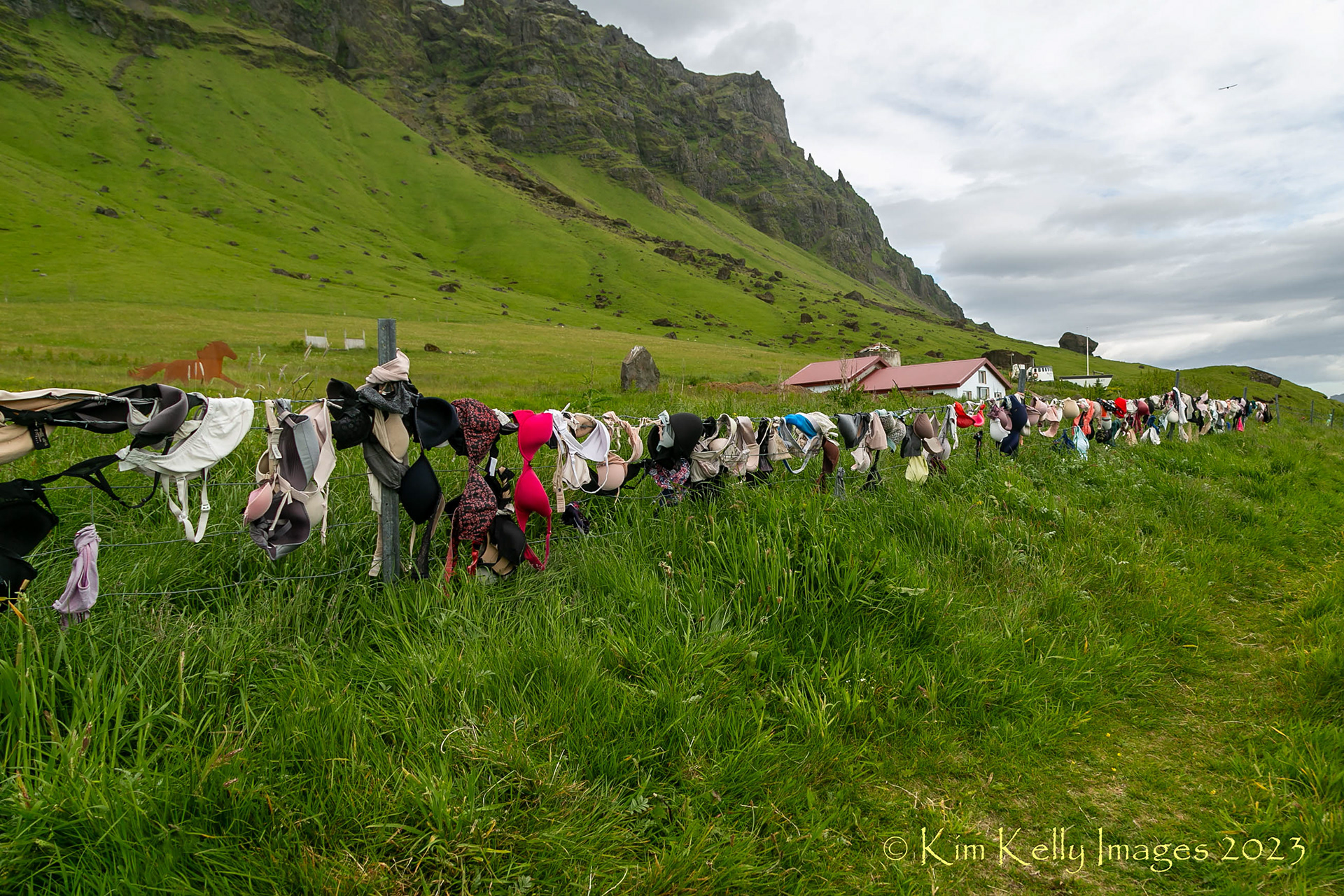 Fence of Bras - Iceland
