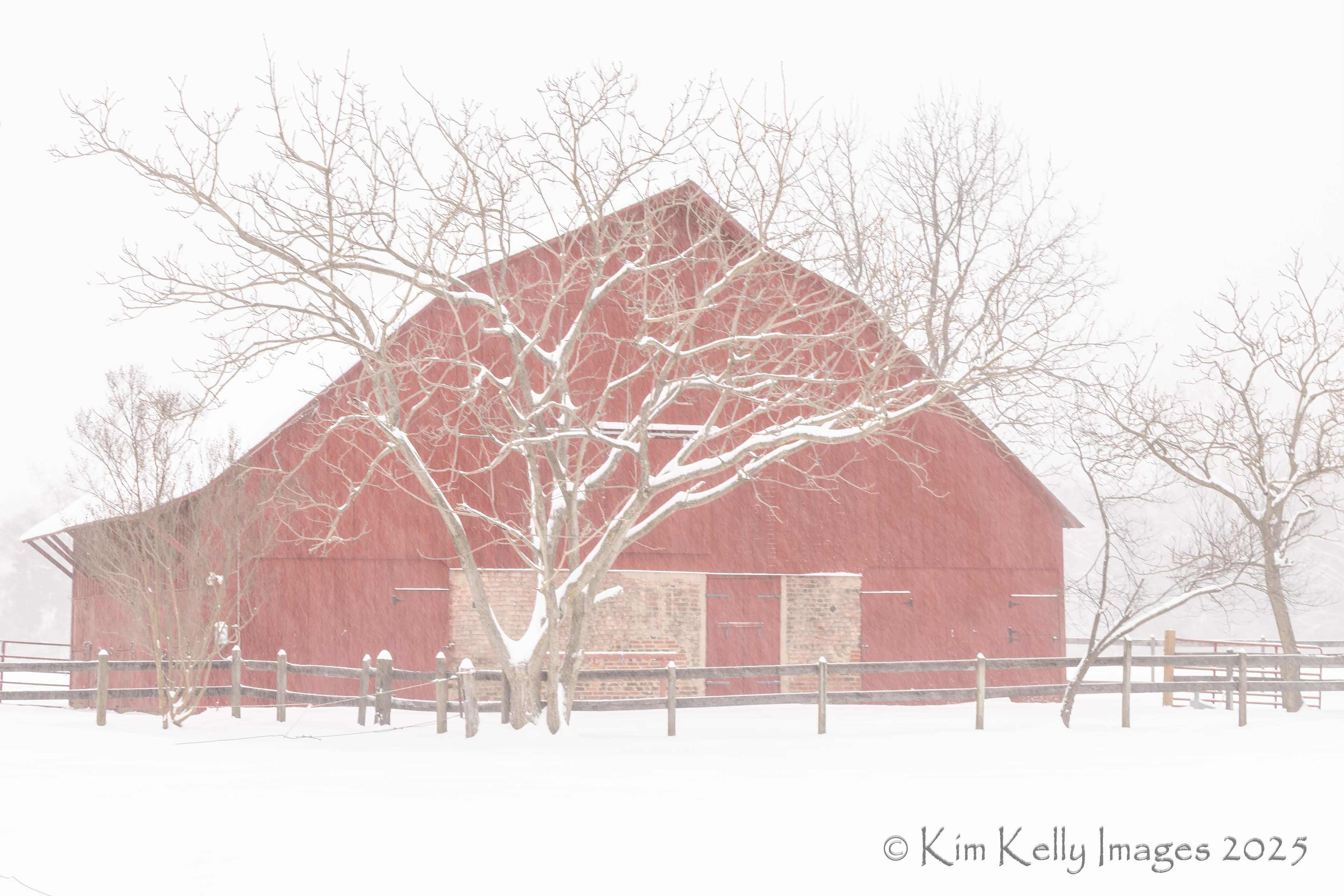 Whiteout on Whitehall Road