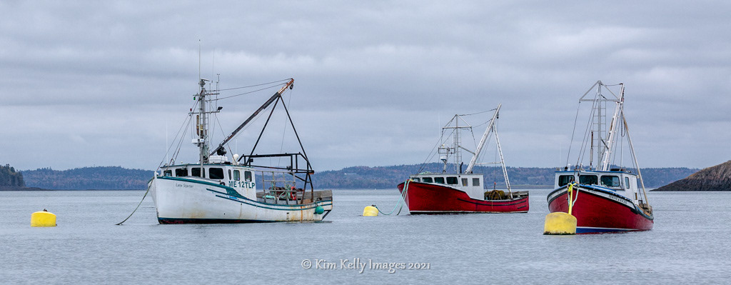 Three Lobster Boats in Lubec