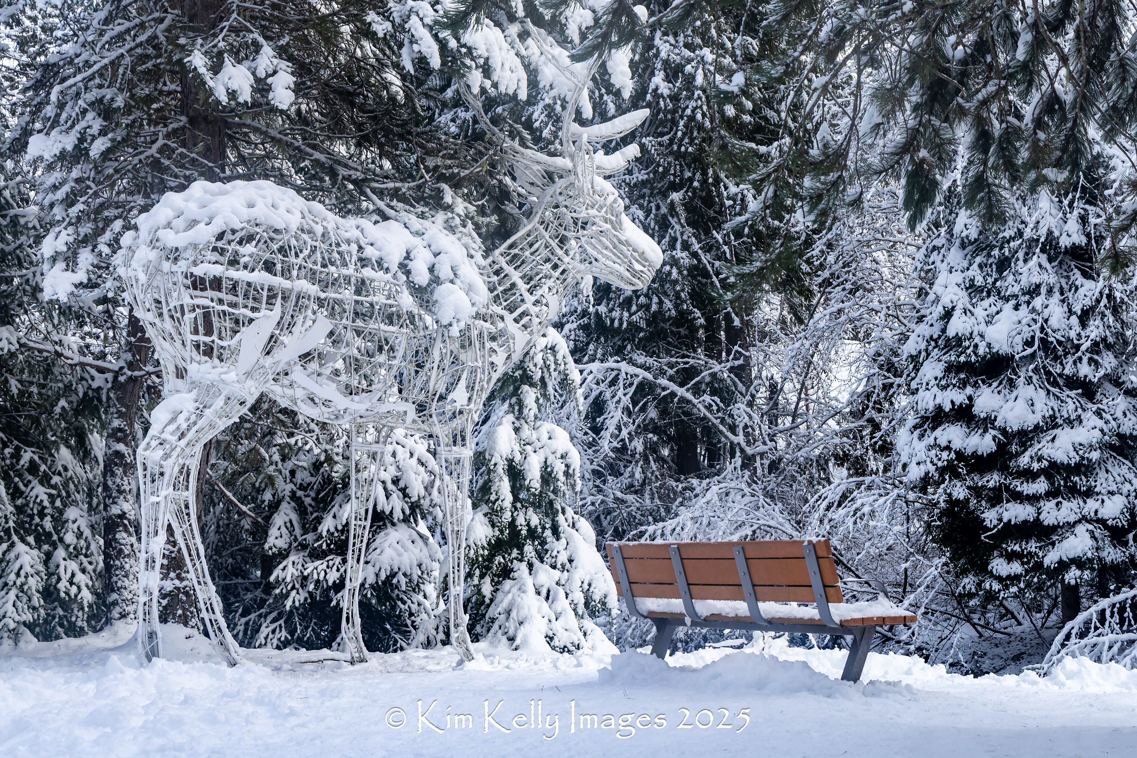 A Bench and Its Guardian Deer