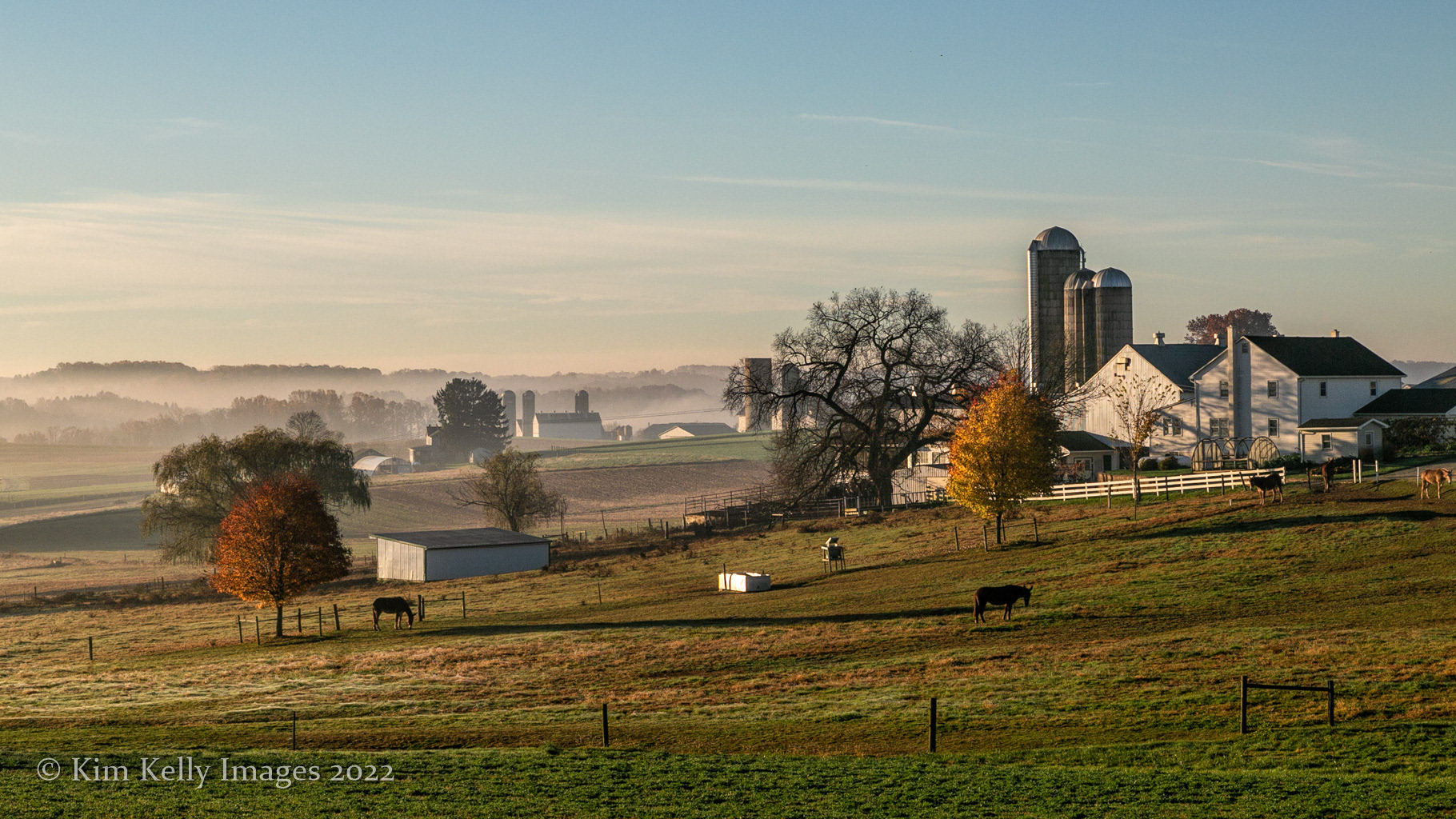 Amish Farm Lancaster County