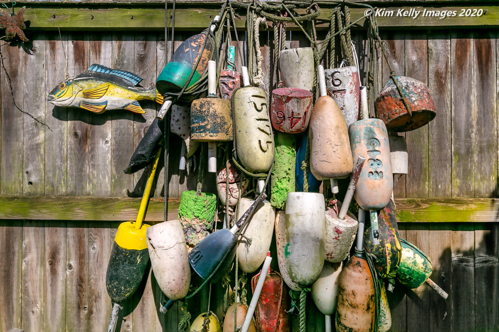 Cluster of Buoys