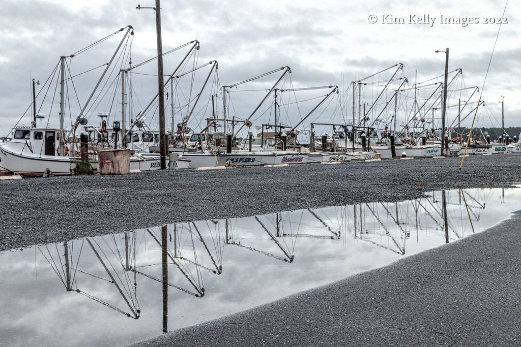 Reflection of Workboats at Rippon Marina