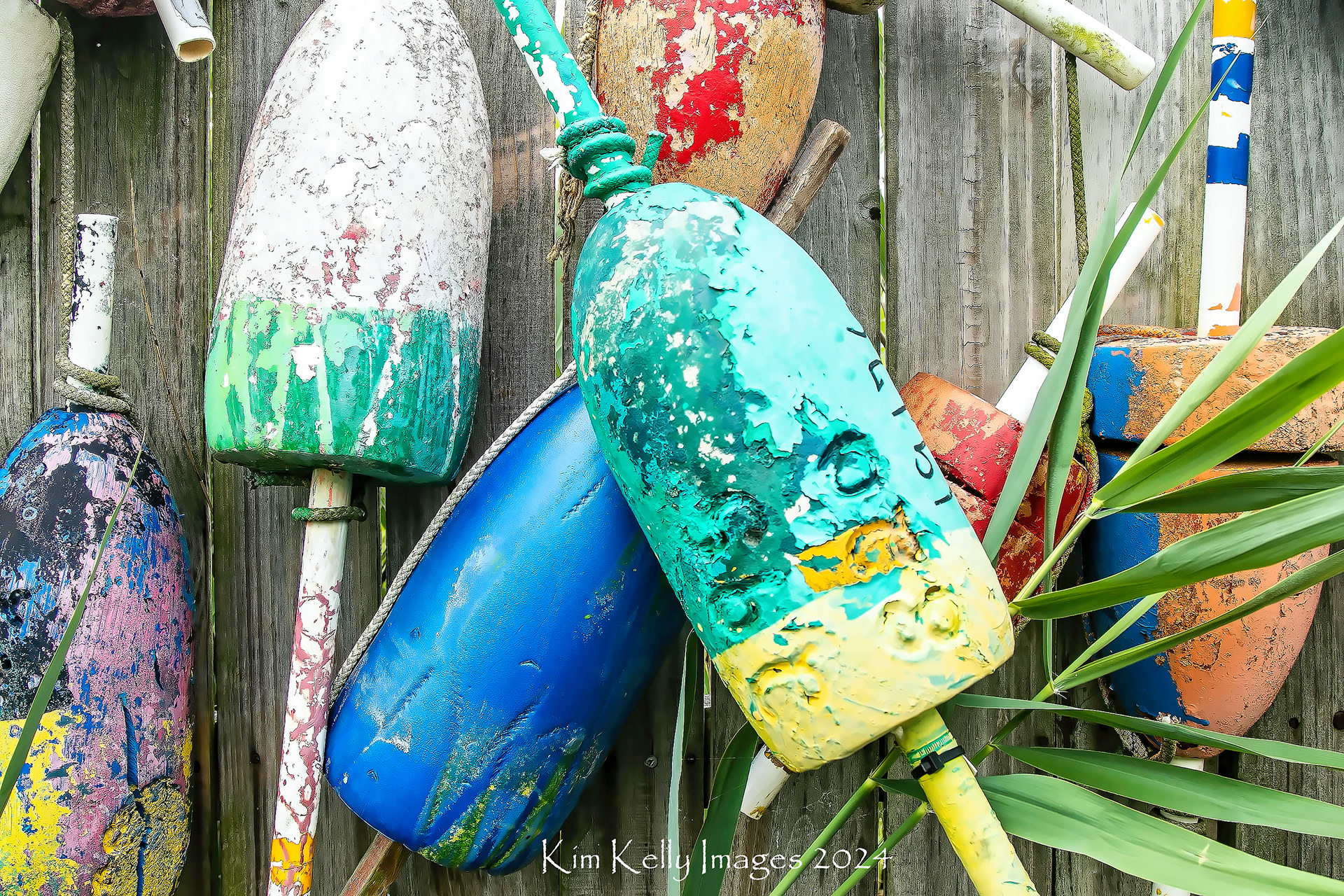 Rainbow of Buoys