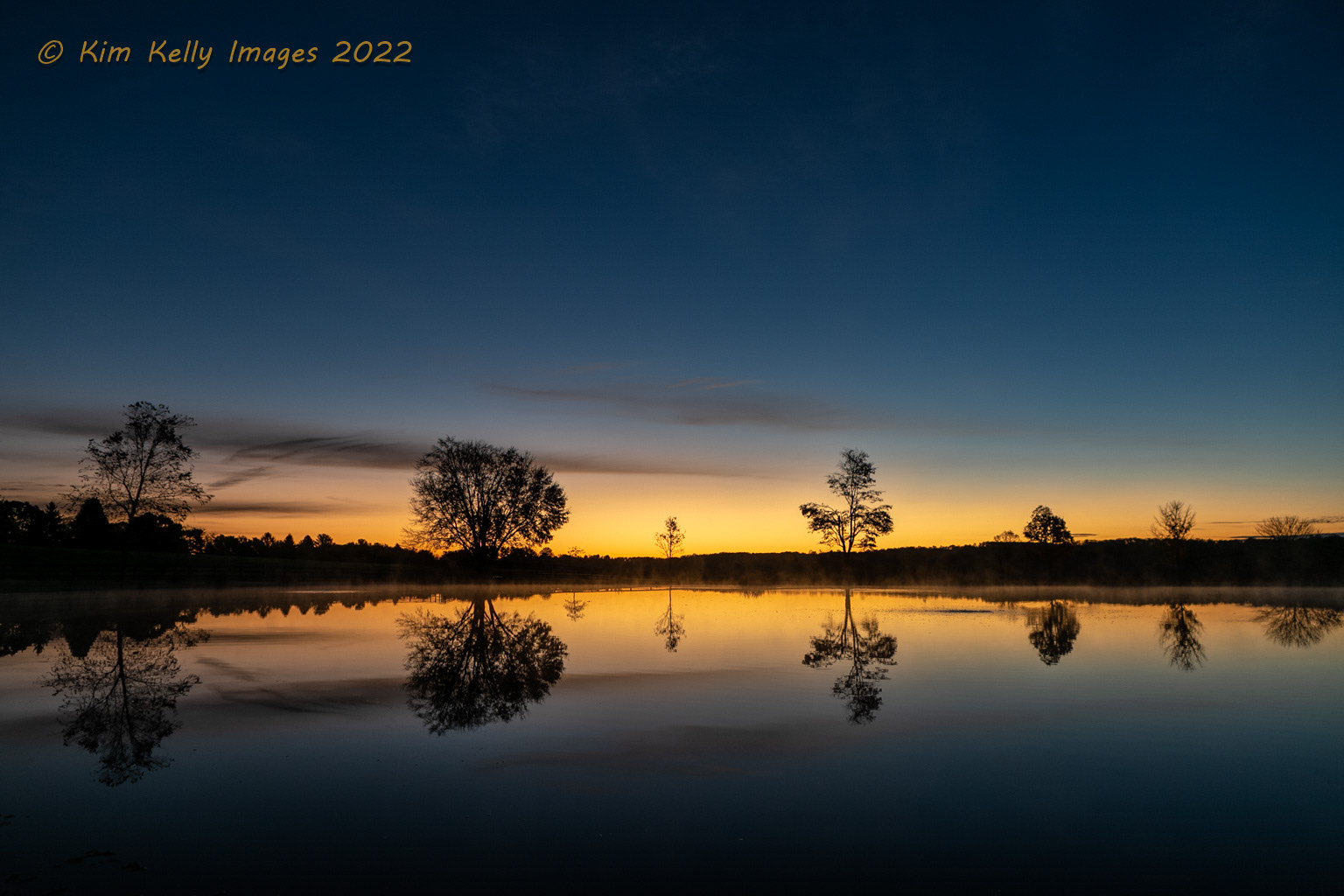 A Reflection of Trees in Worthington Valley