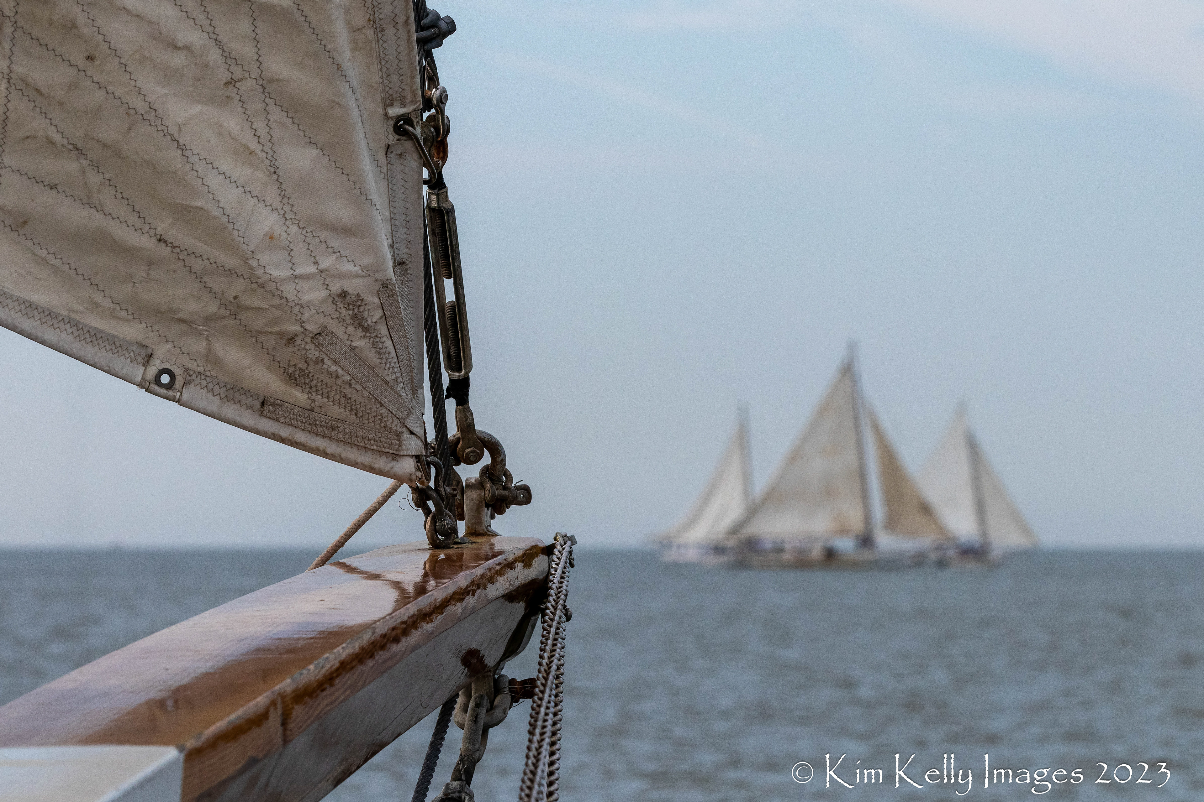 Skipjacks off the Bowsprit of the Wilma Lee