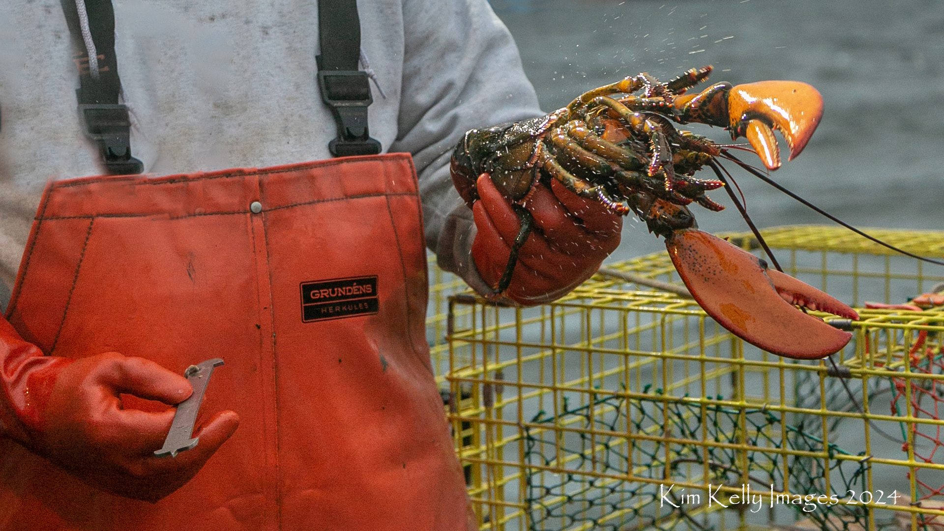 Checking the Catch