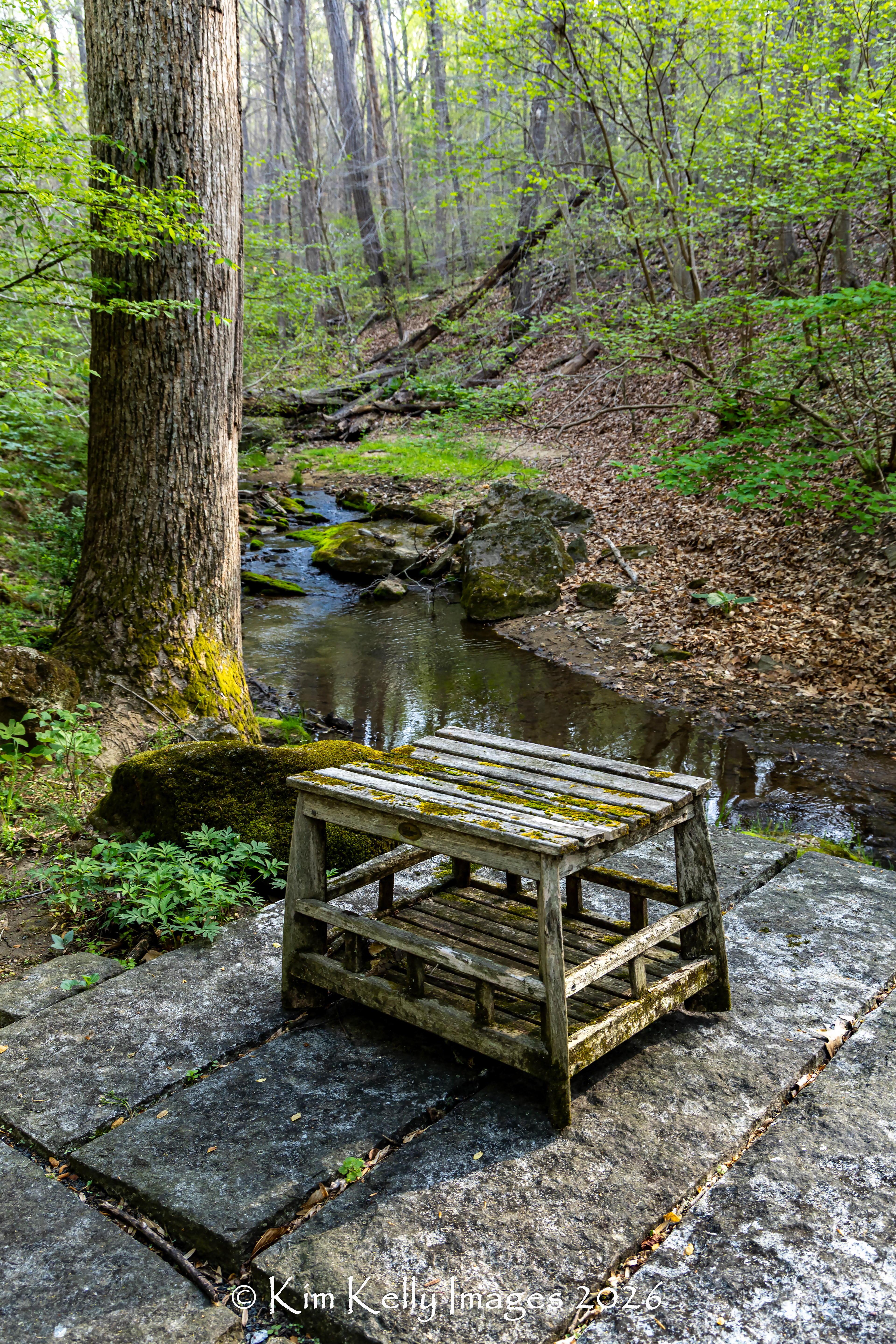 A Quiet Place to Contemplate