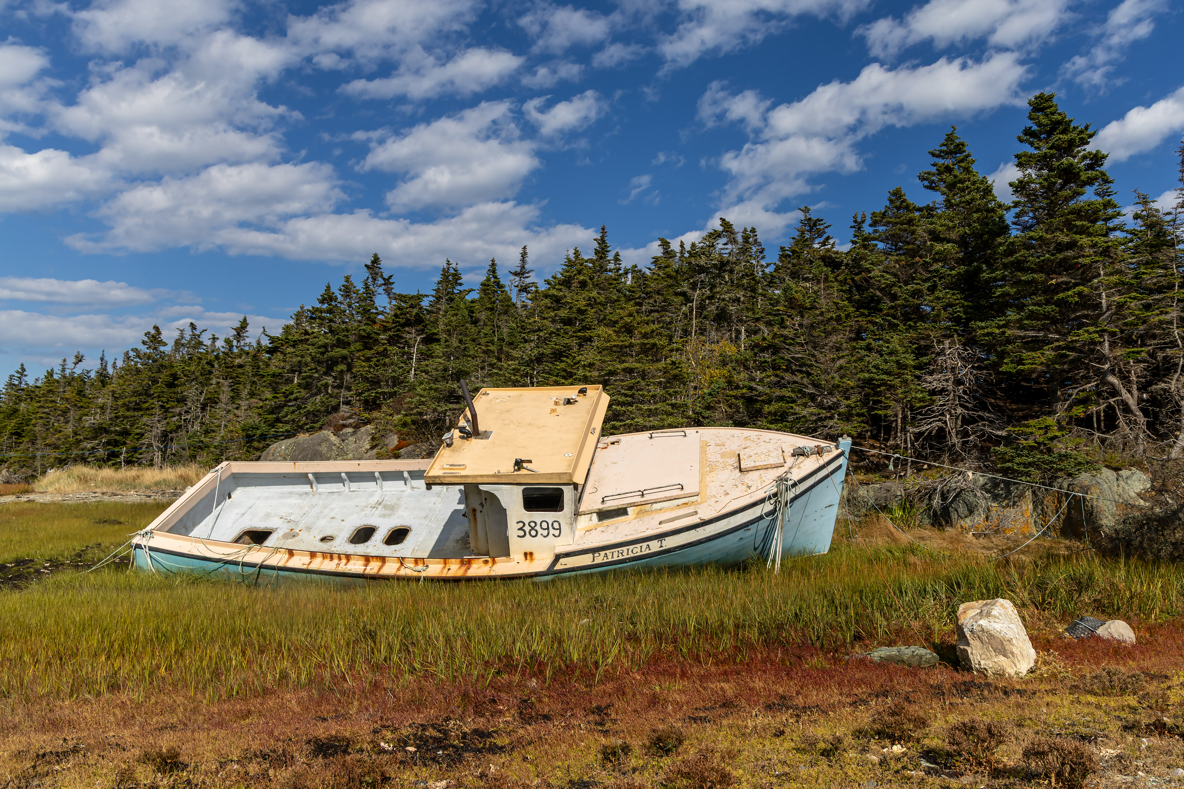 Patricia T Final Resting Place