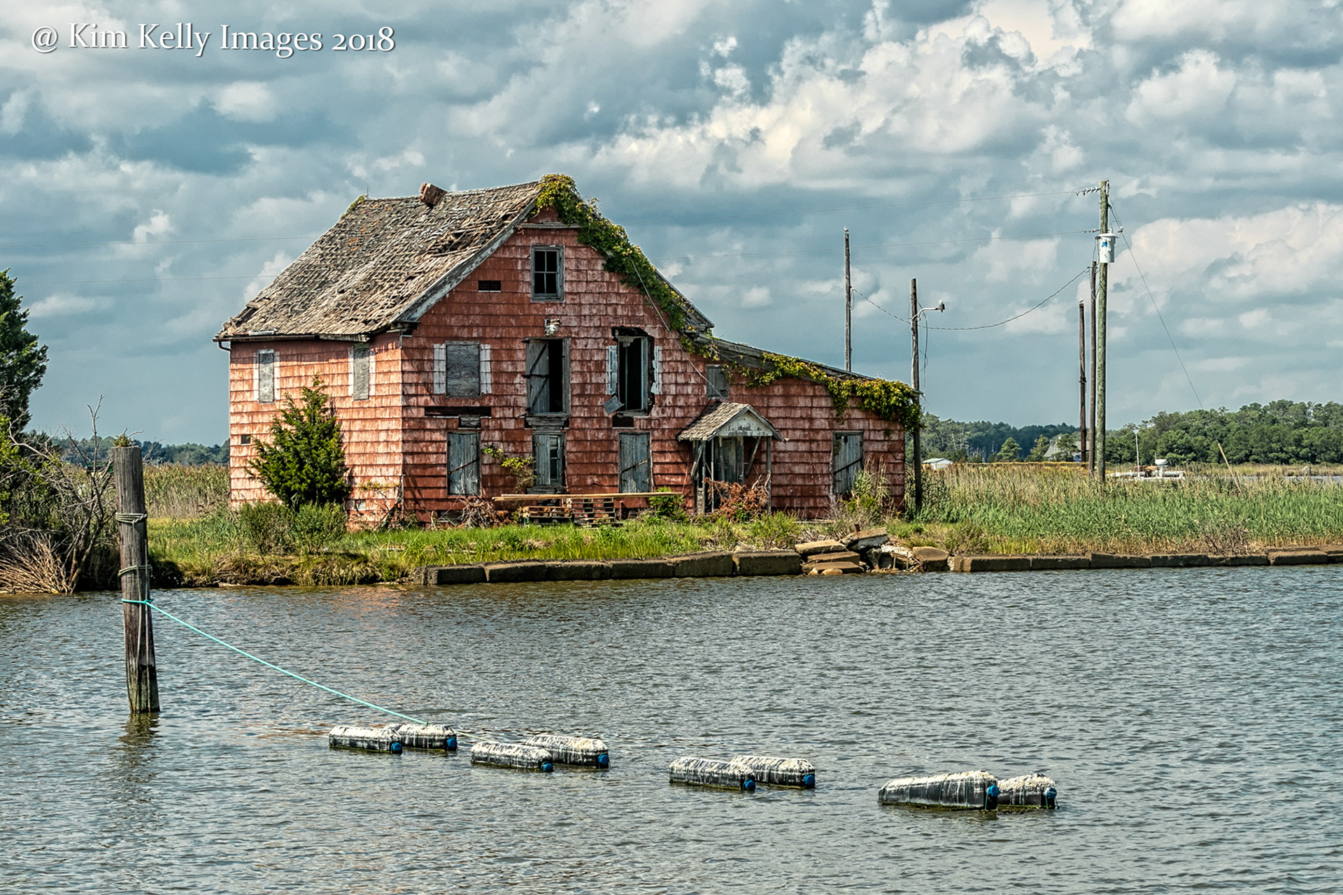 Abandoned in Crocheron