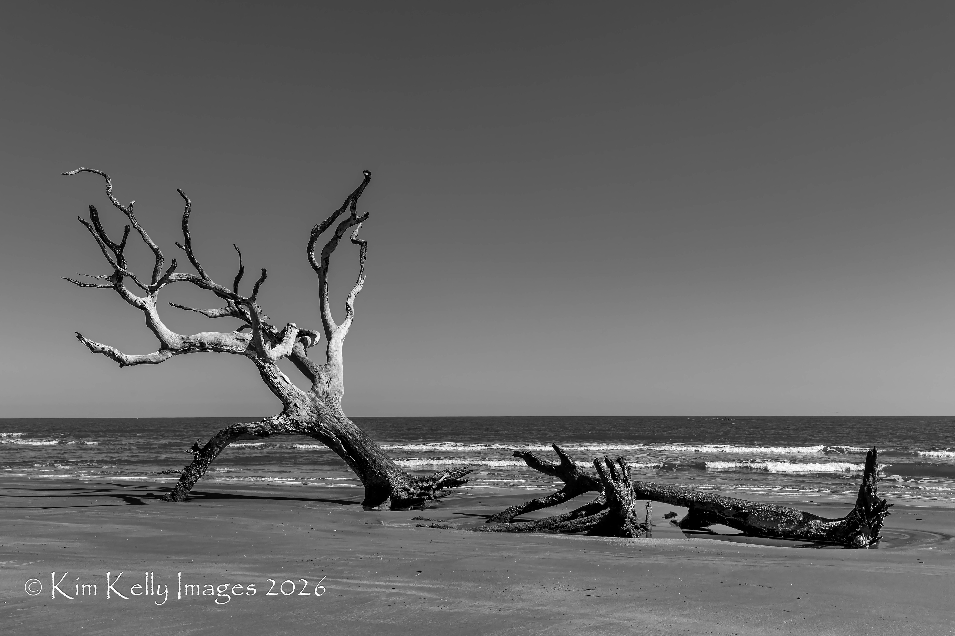 Fallen and Falling in the Boneyard