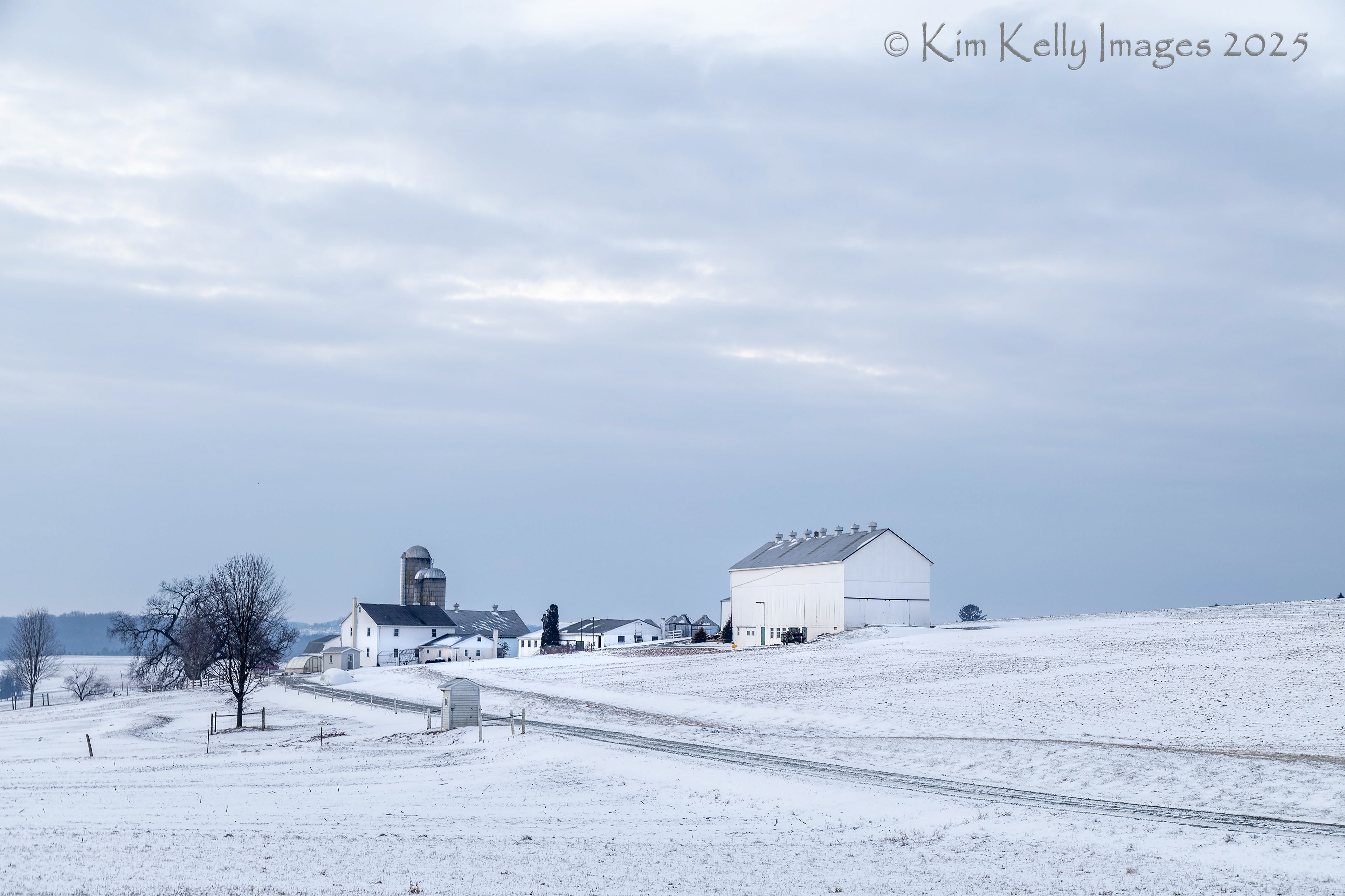 White on White