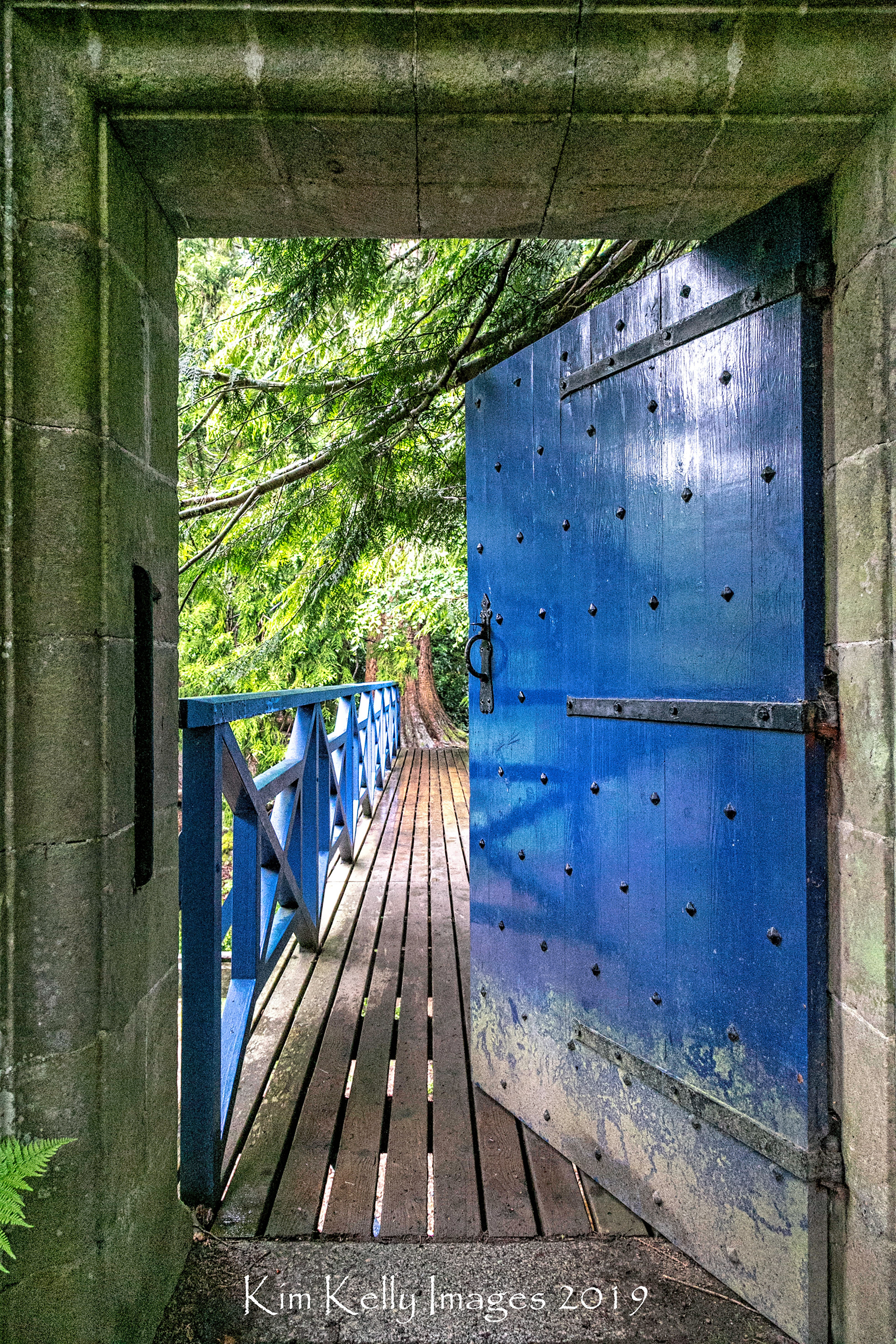 Through the Blue Door