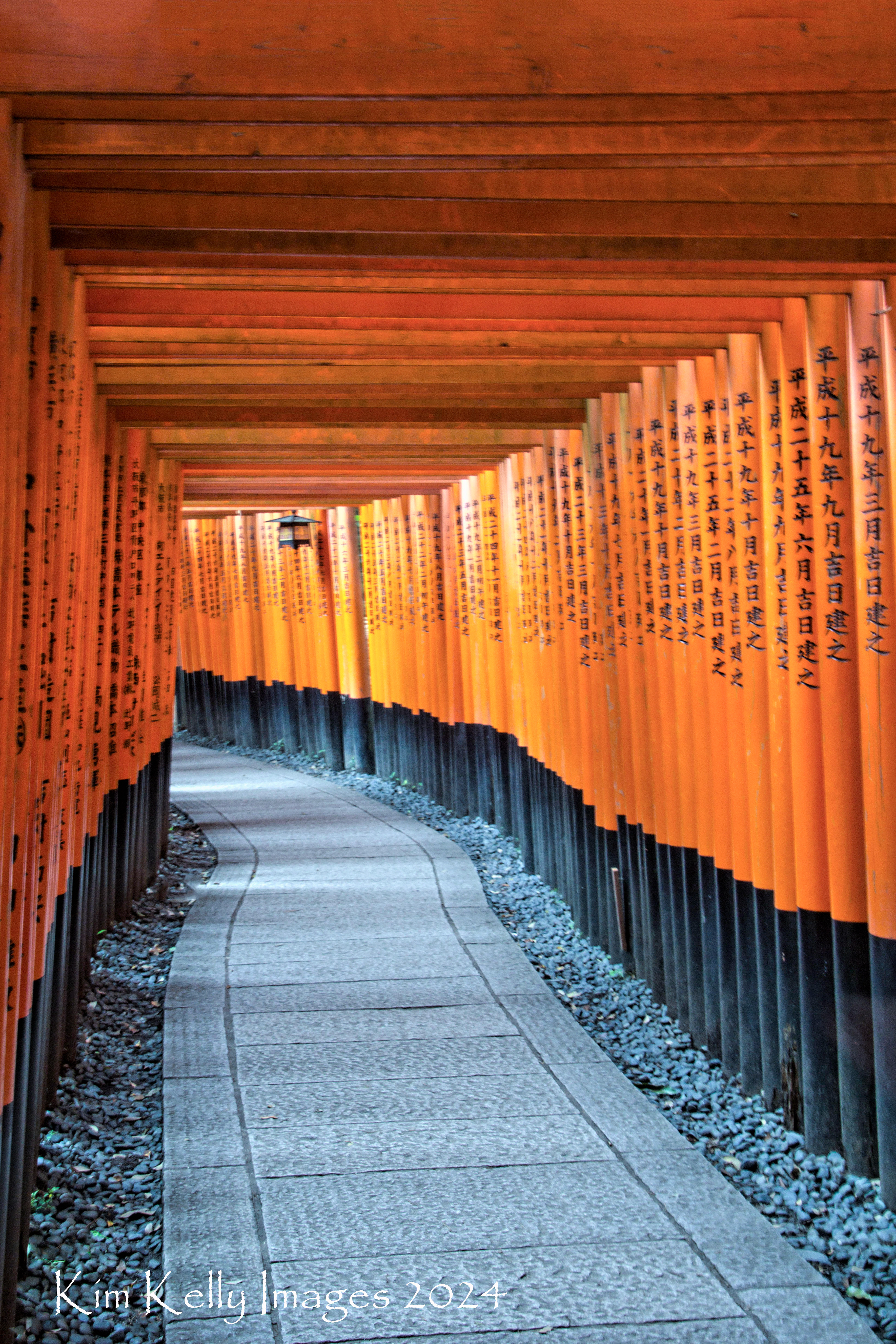 Path Through 1000 Tori Gates - Japan