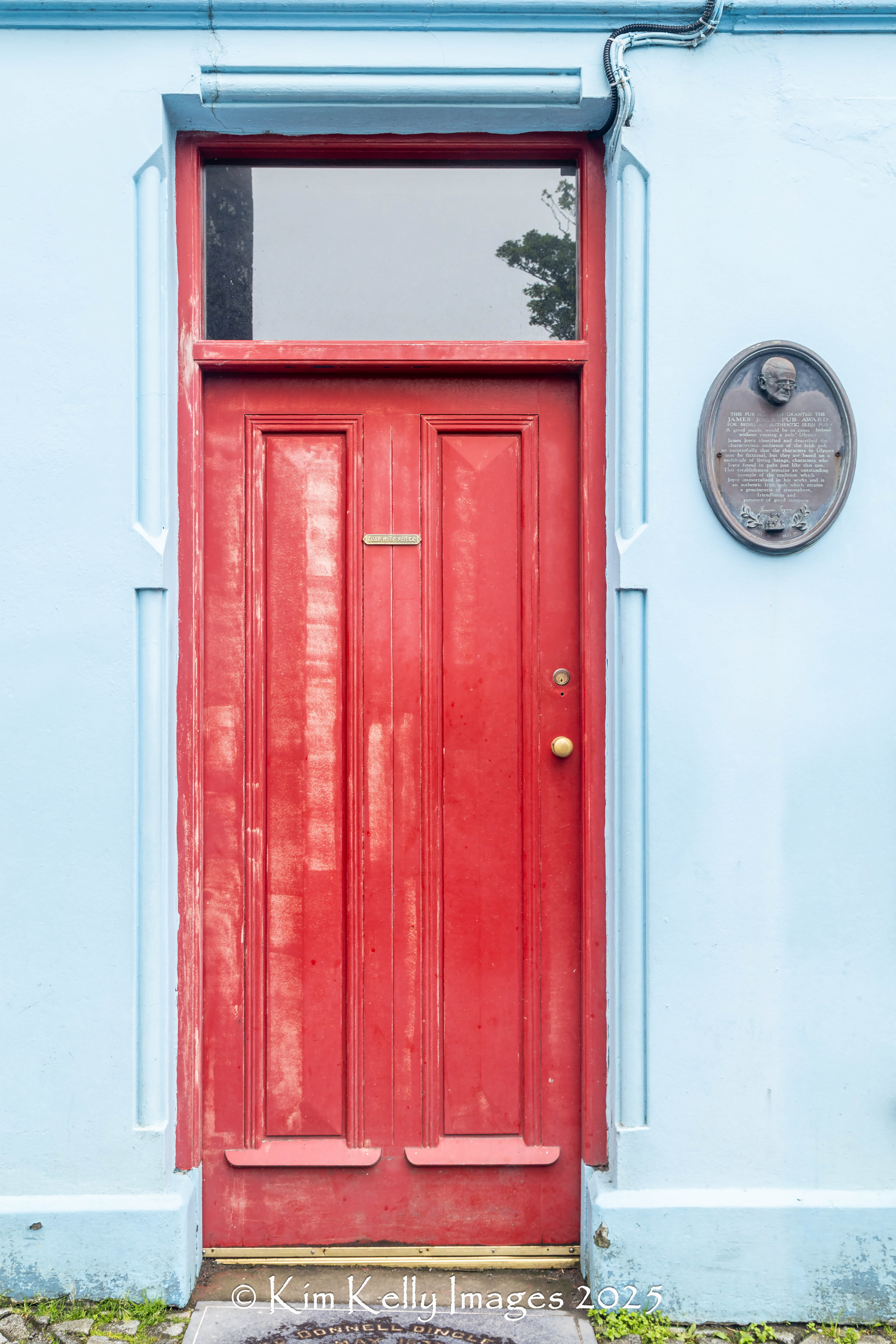 Irish Red Door #10