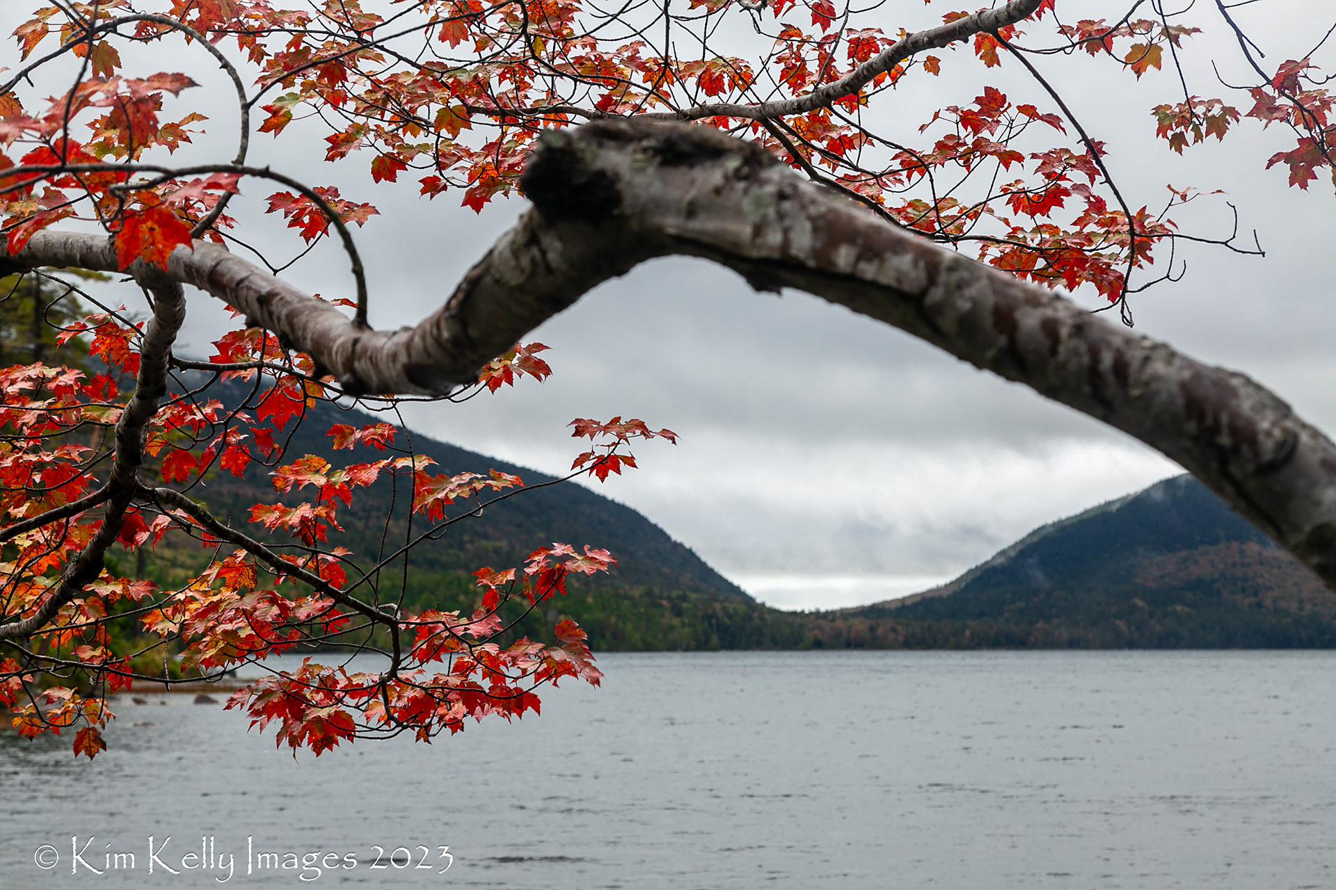Fall at Eagle Lake - Acadia NP
