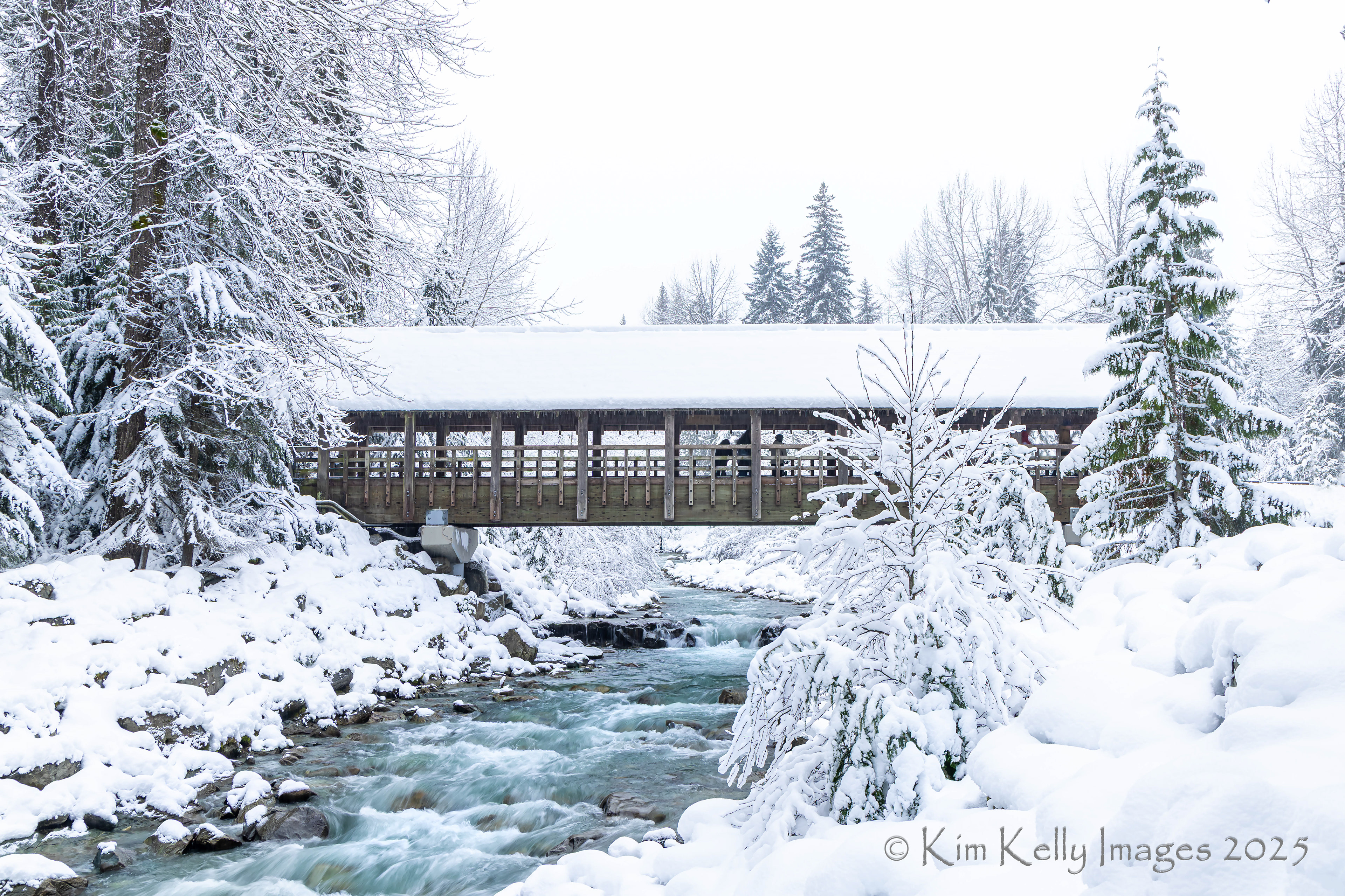 Bridging Fitzsimmons Creek in Whistler