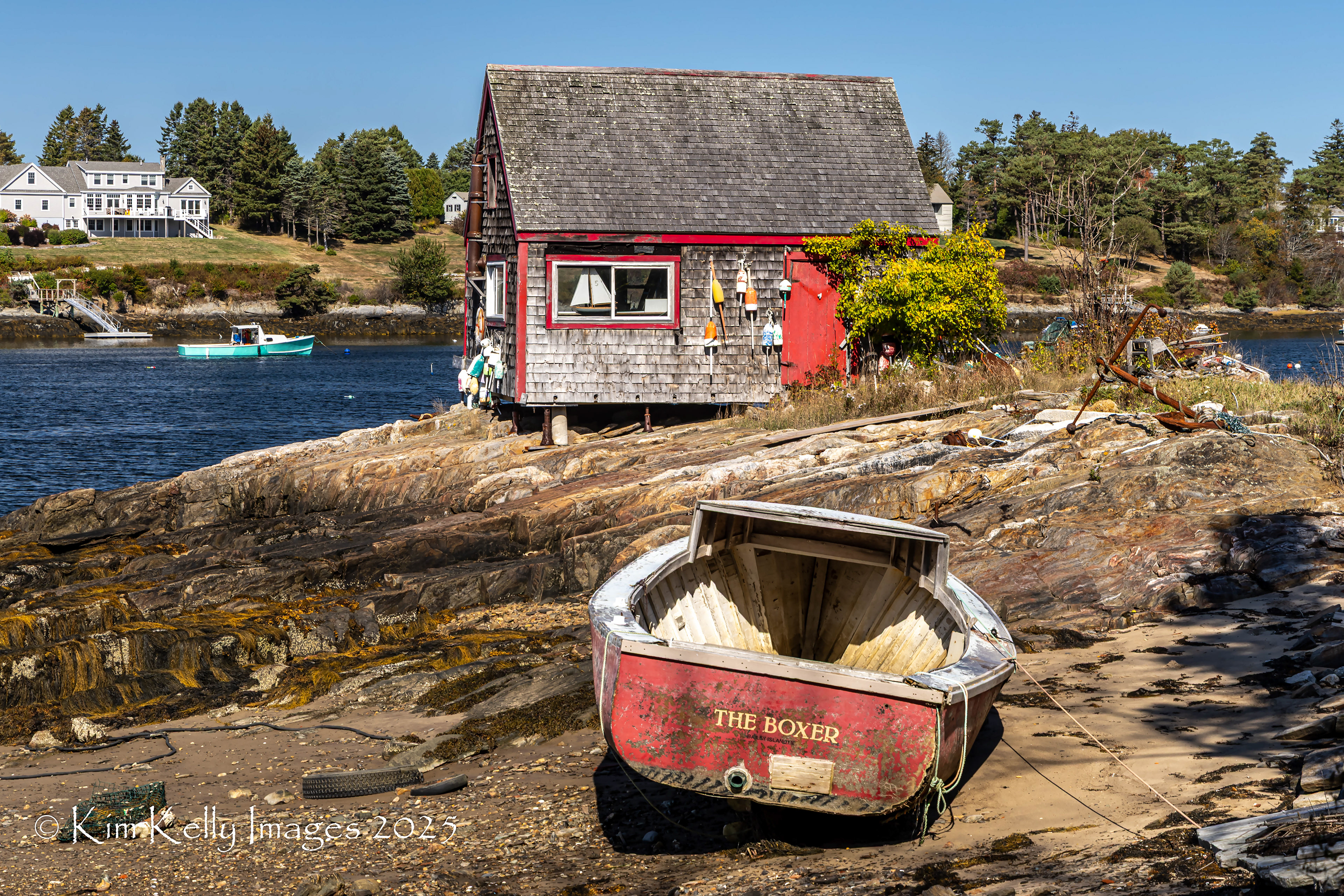 The Boxer and The Lobster Shack
