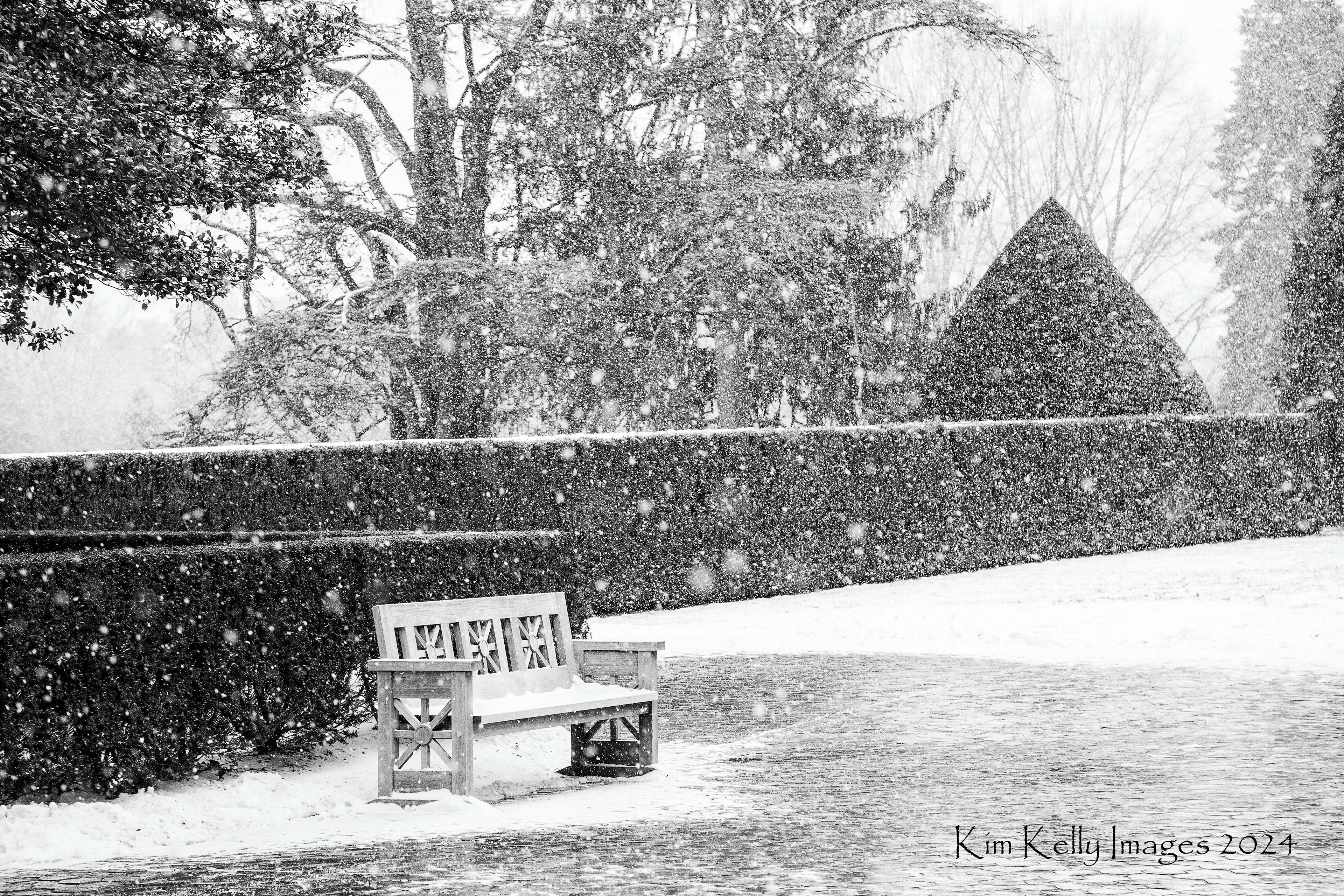A Lonely Bench