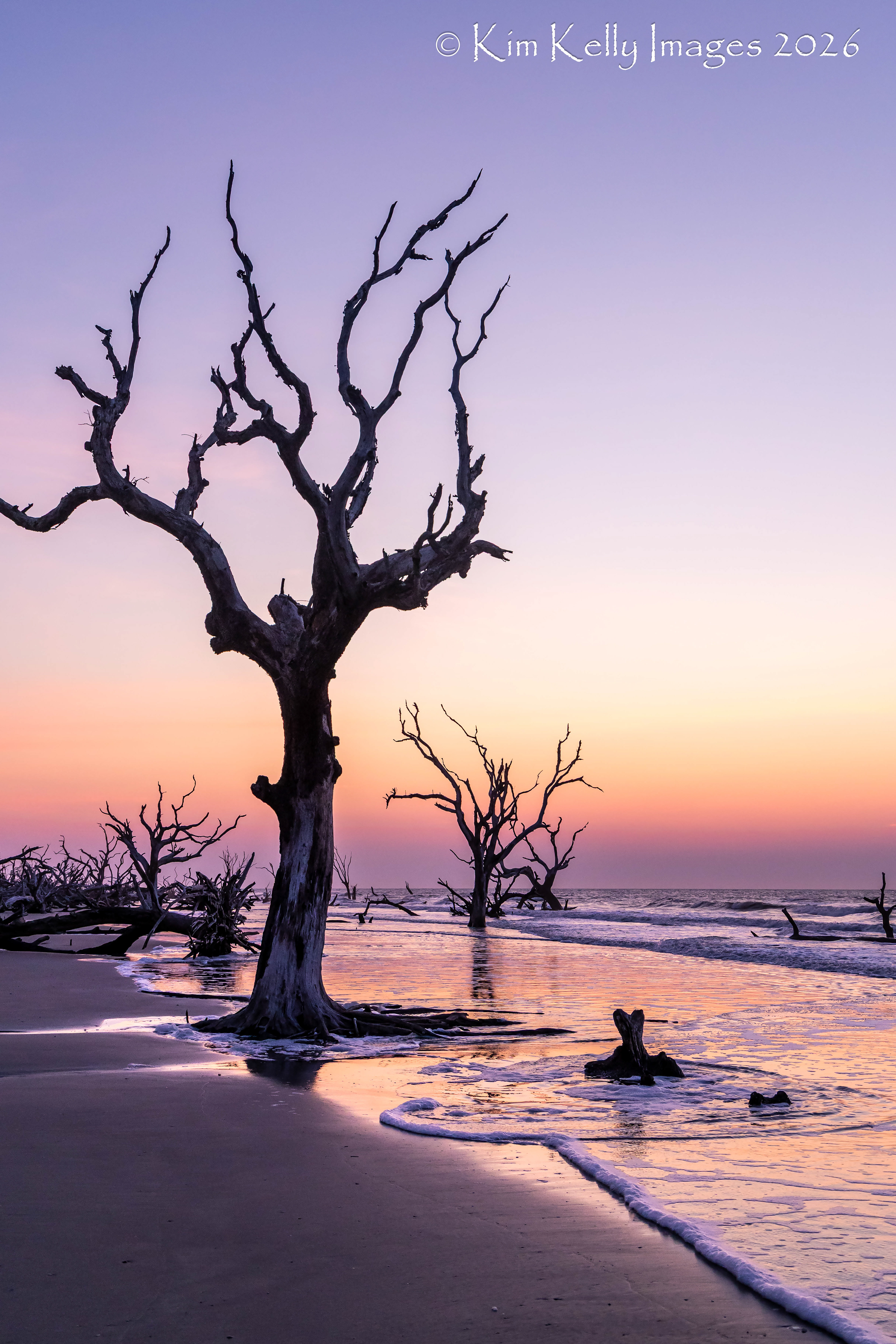 Still Standing in the Boneyard