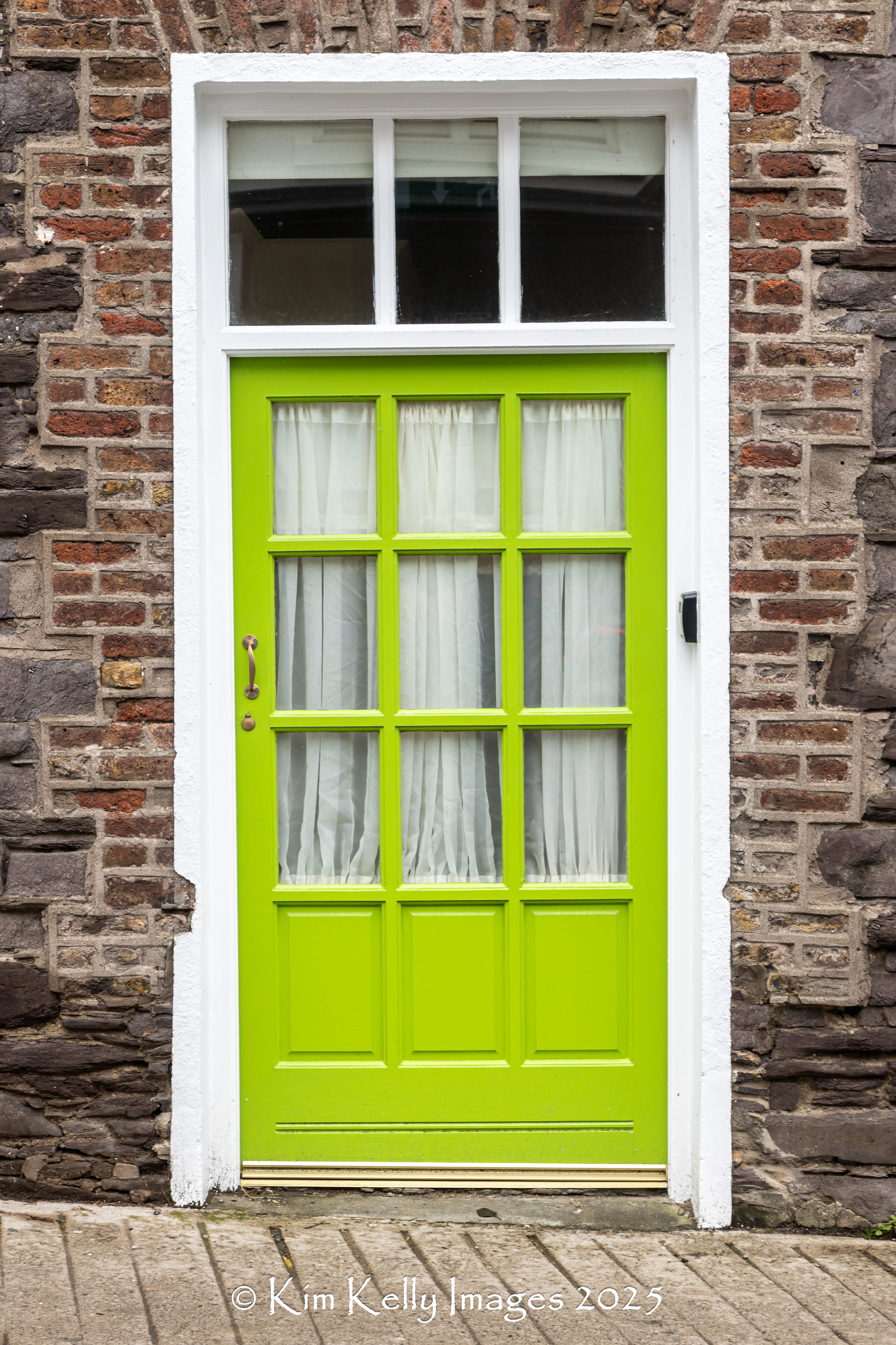 Irish Green Door #4