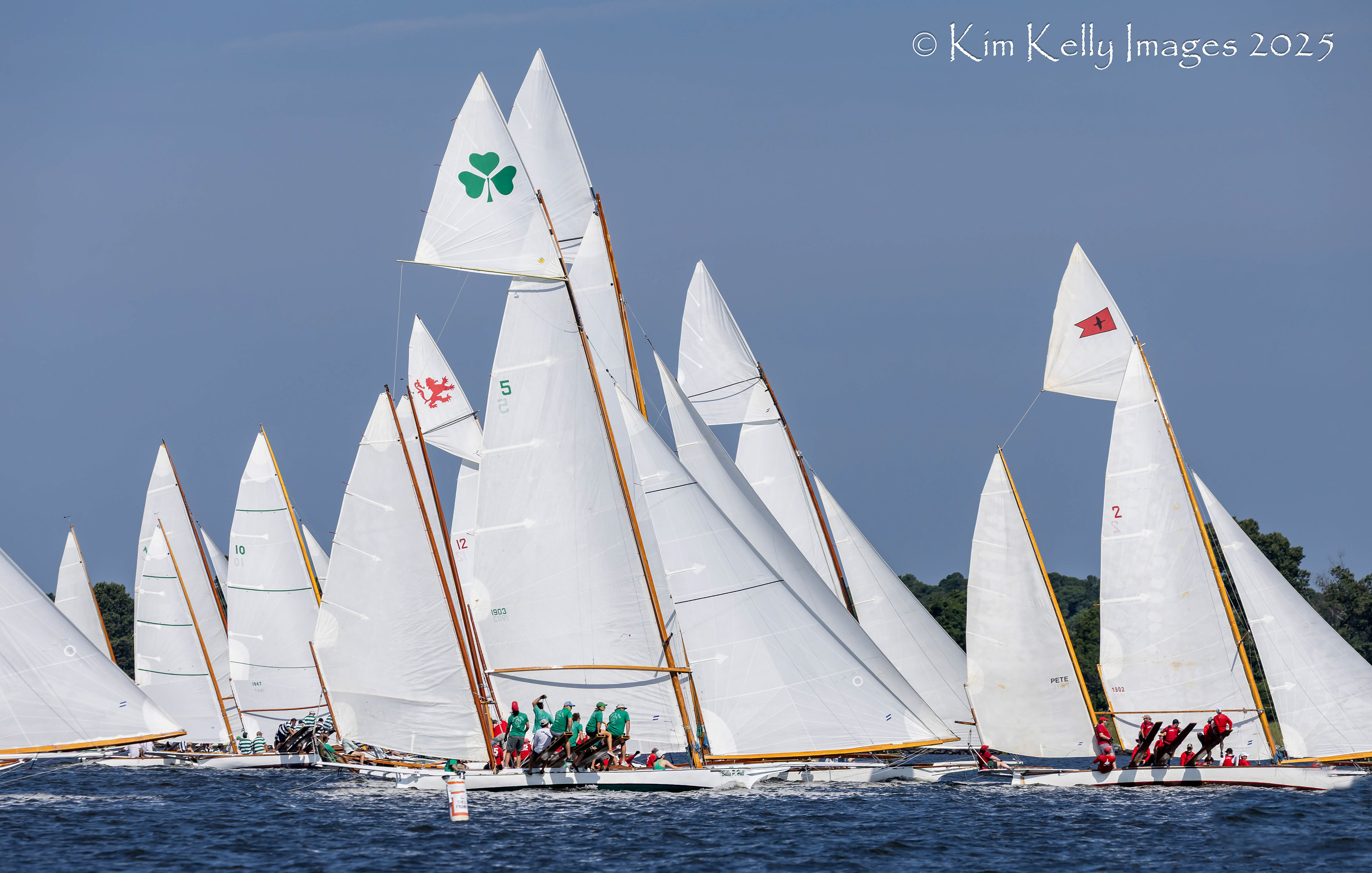 Abundance of Sails - Log Canoe Races
