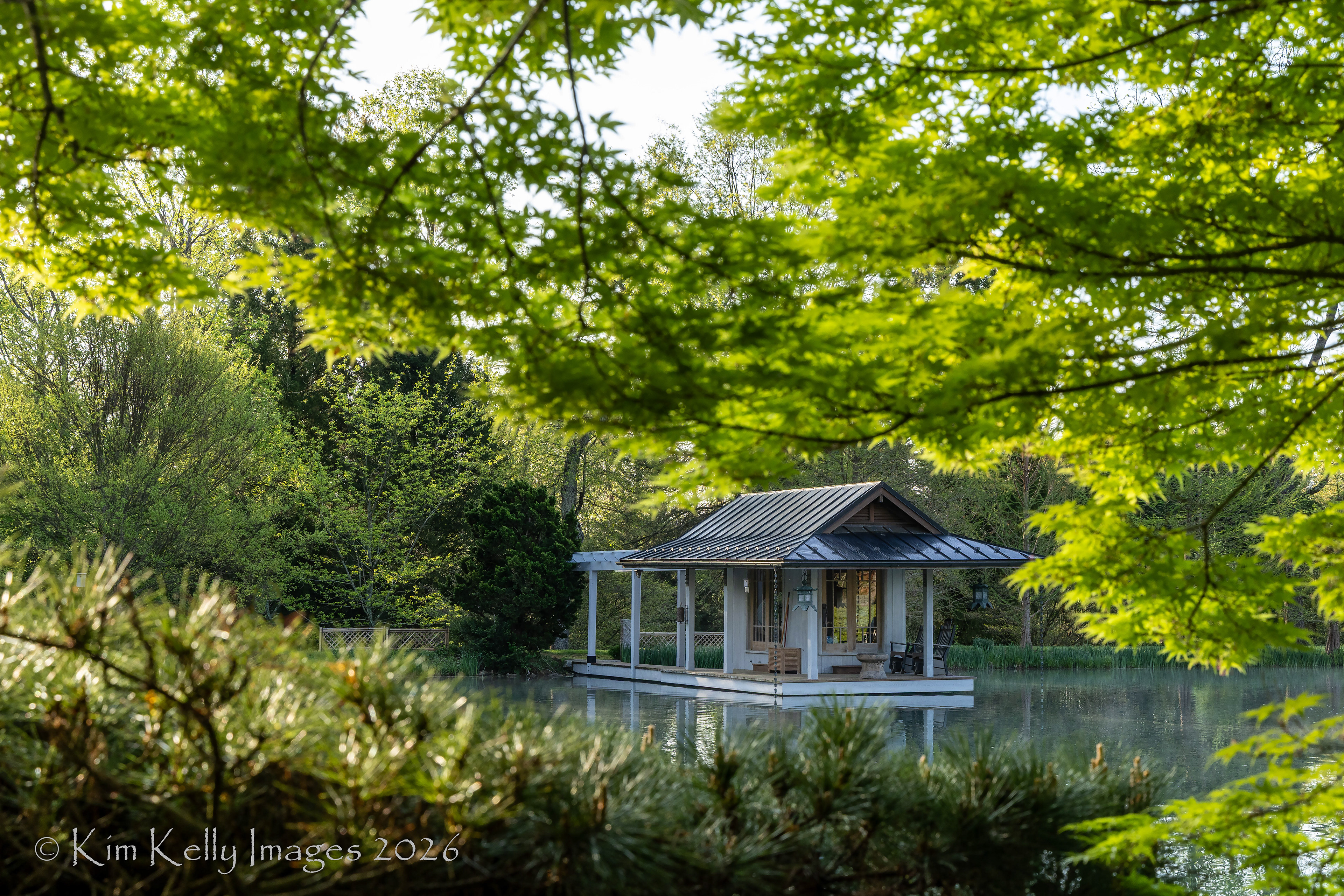 Spotlight on a Tea House