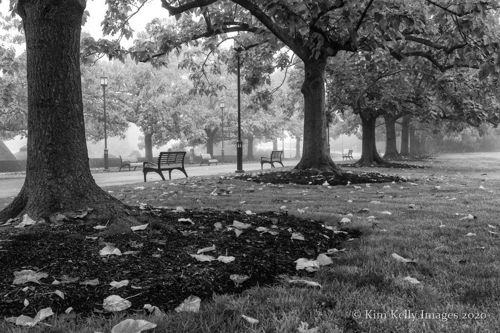 A Touch of Fog